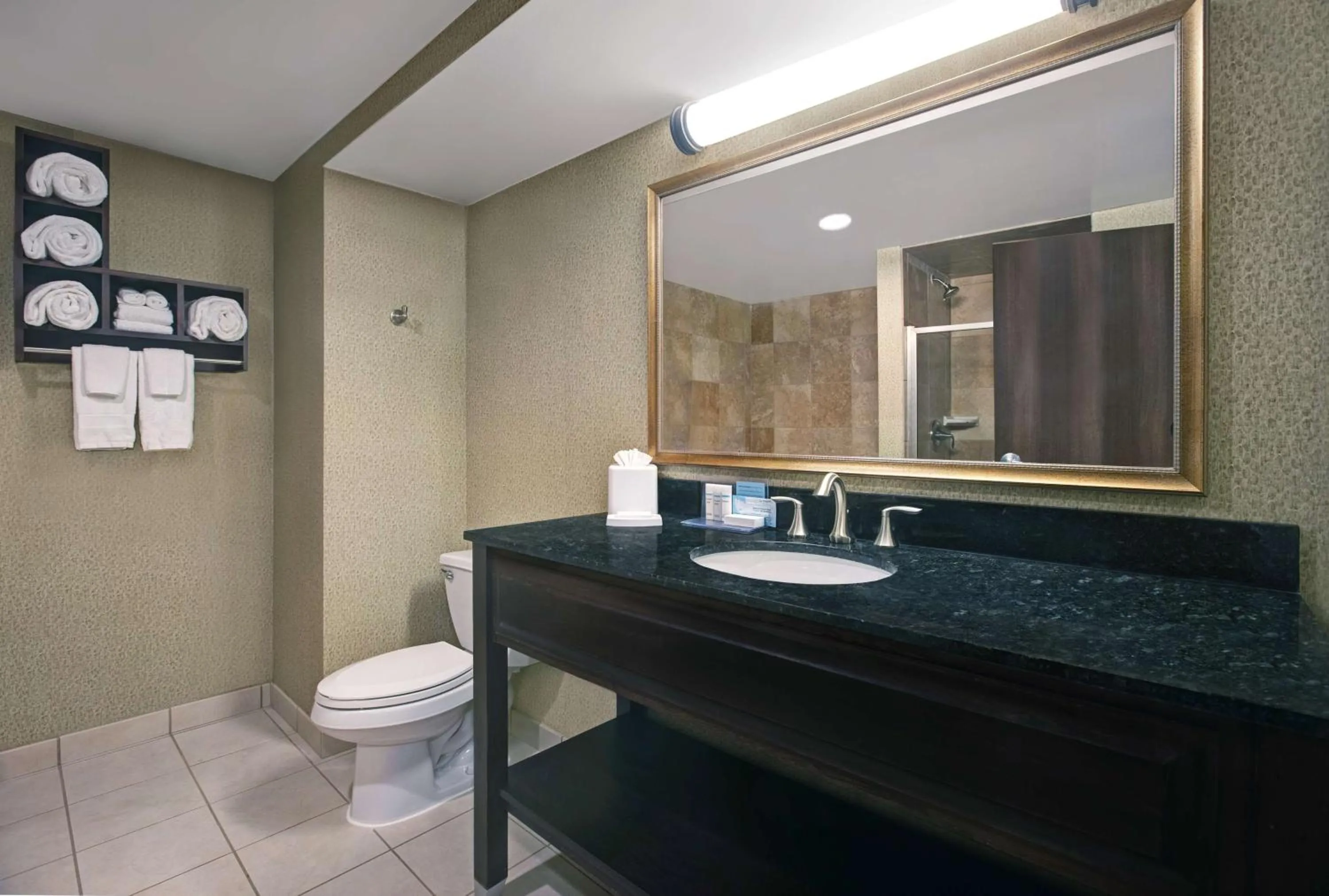 Bathroom in Hampton Inn Greenville/Woodruff Road