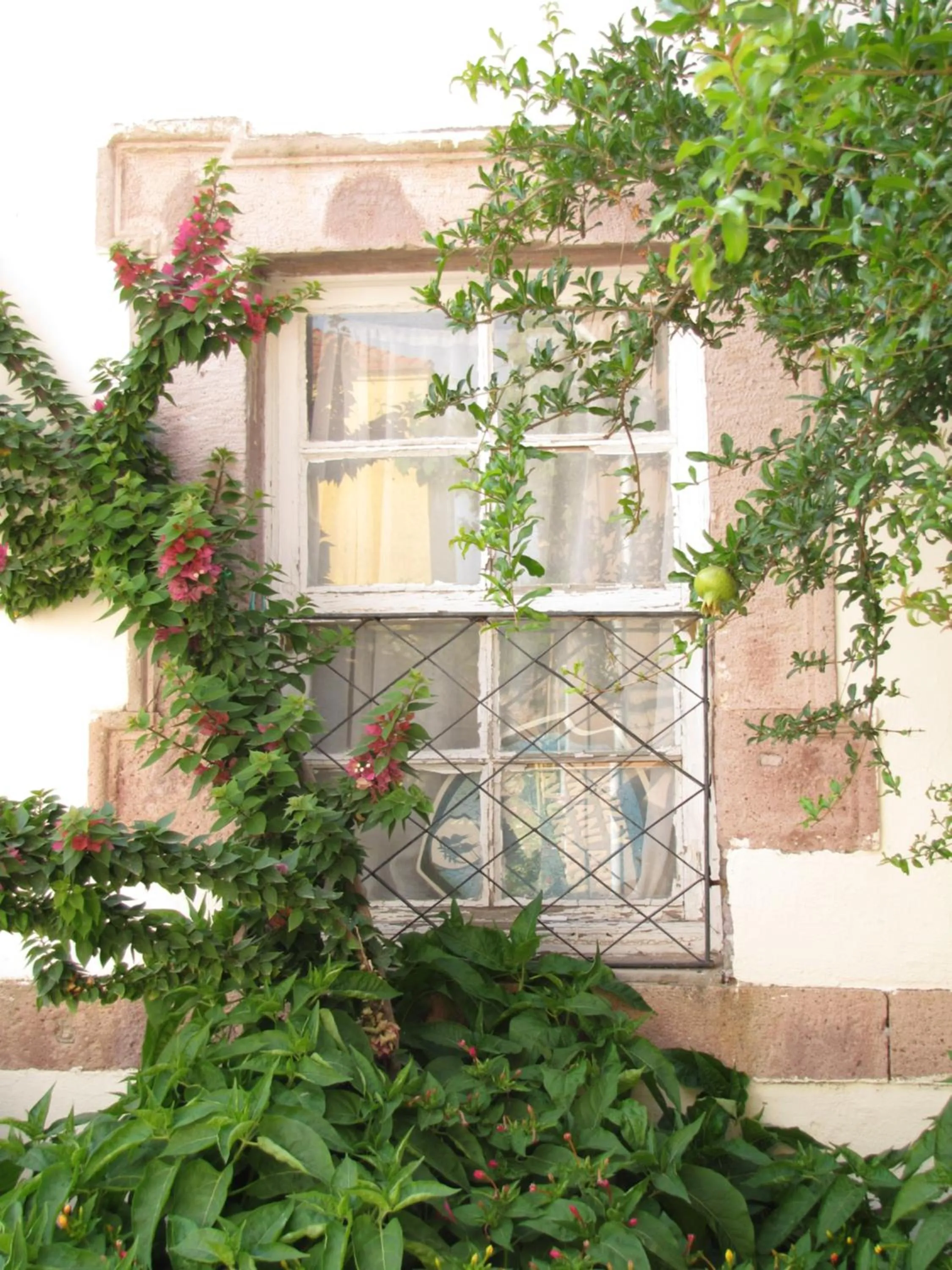 Property building in Eolos House Cunda