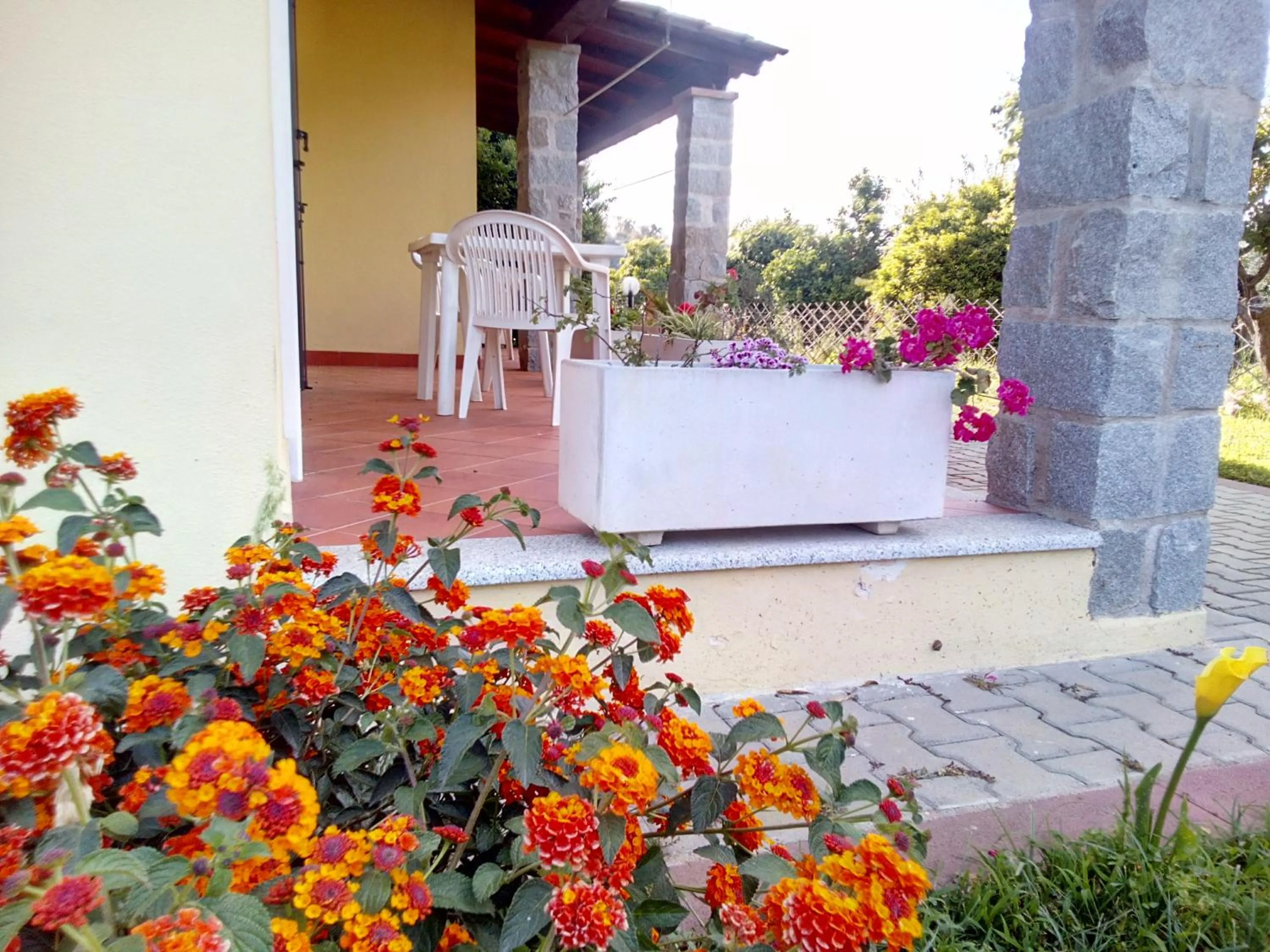 Property building in Su Pasu