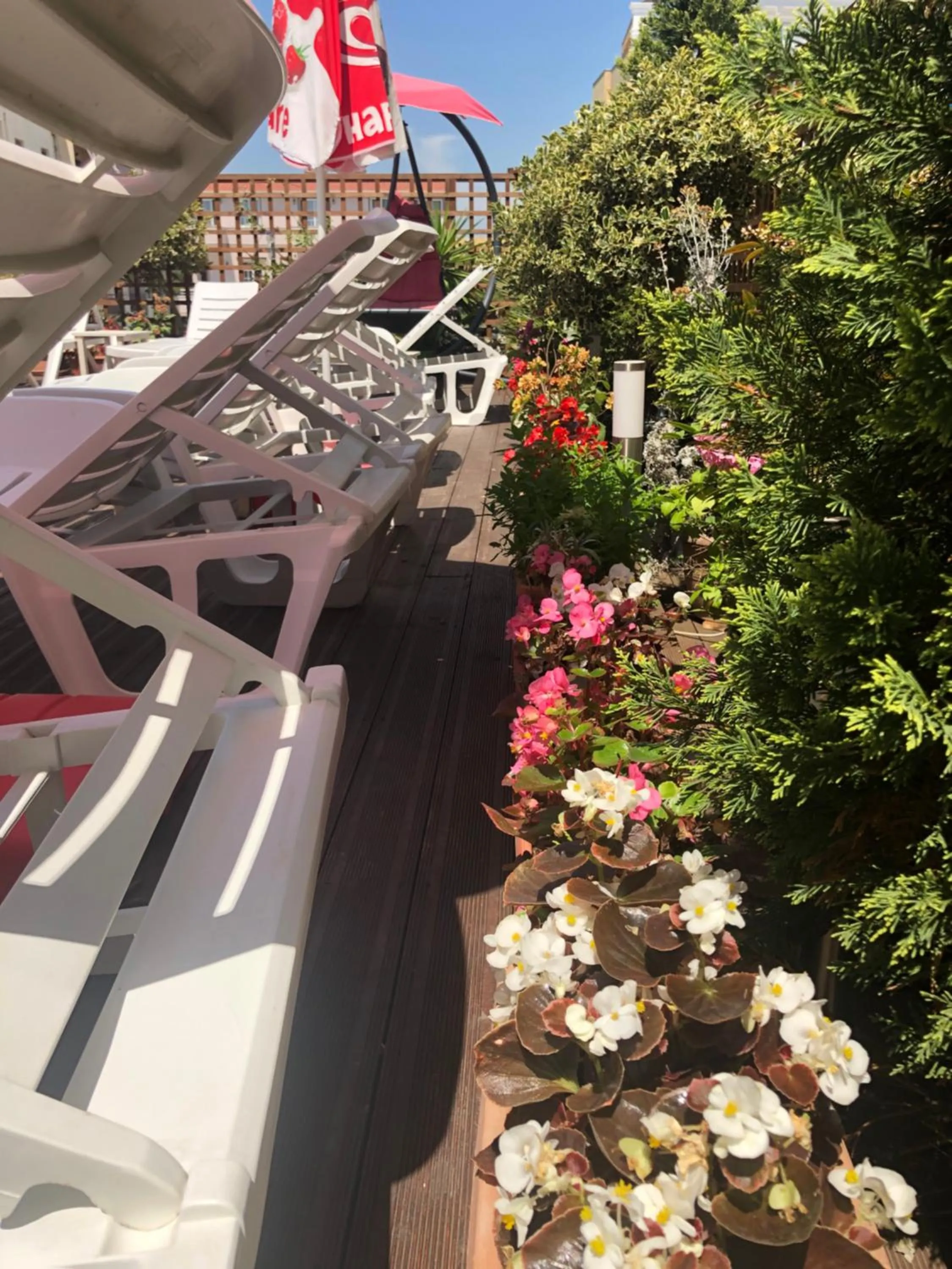 Garden in Sunrise Hotel Cameria