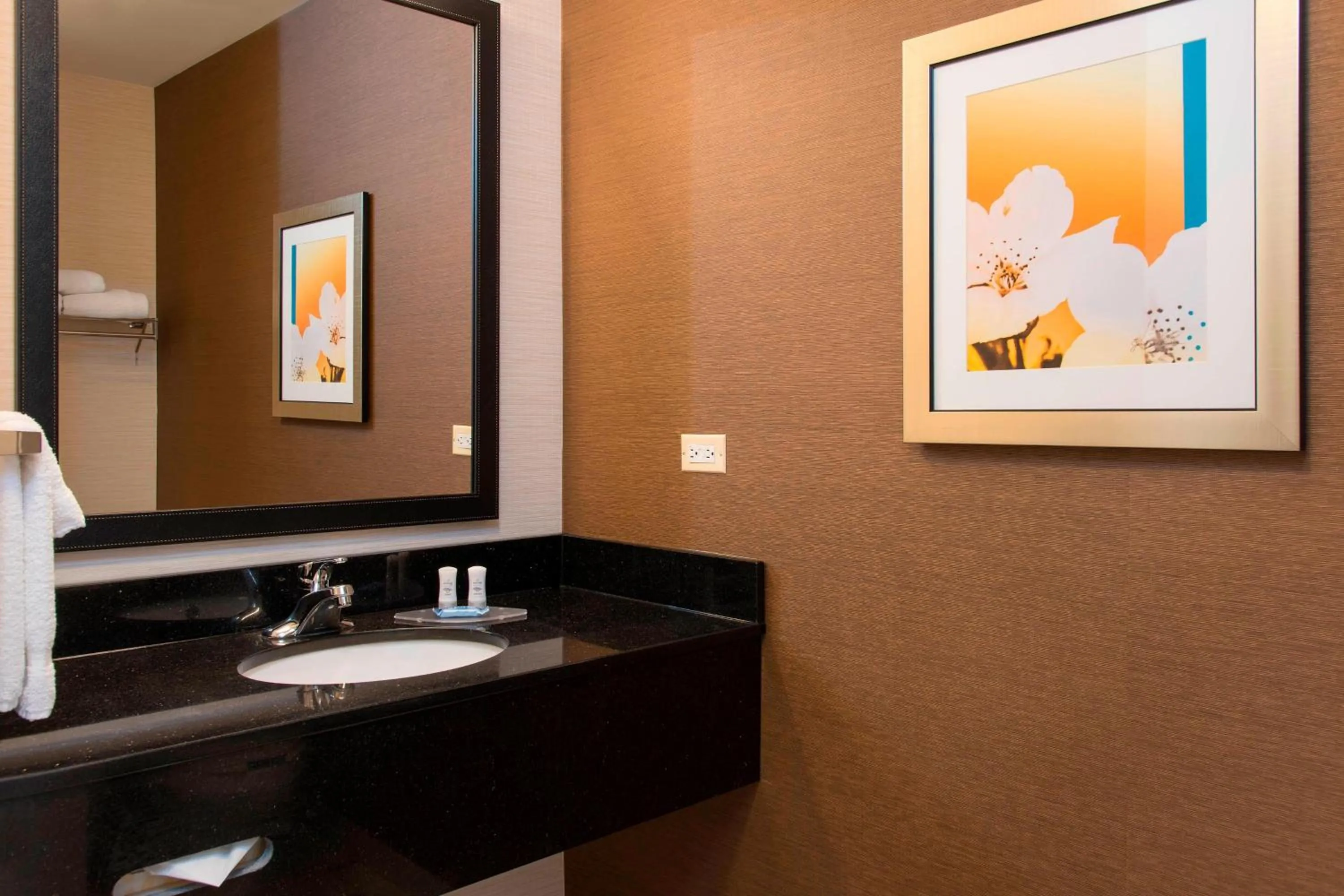 Bathroom in Fairfield Inn and Suites by Marriott Chicago St. Charles