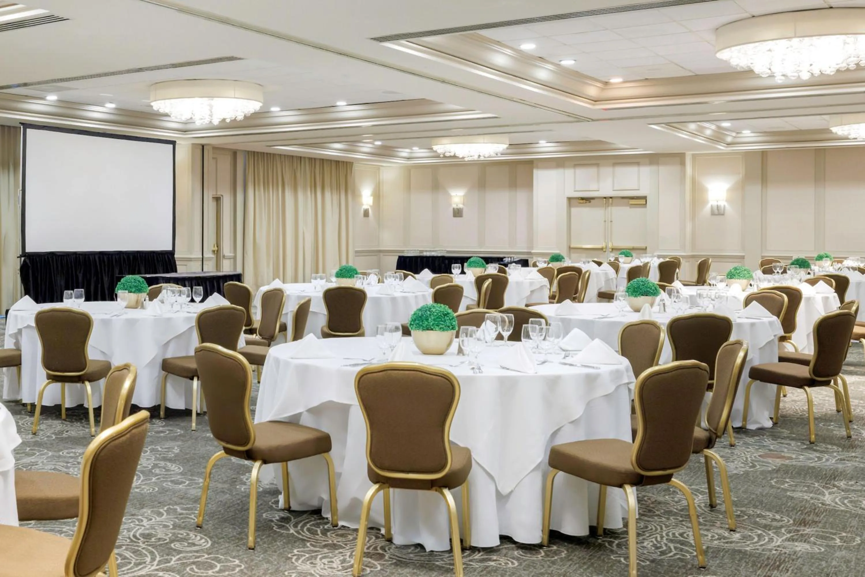 Meeting/conference room in Hilton Greenville