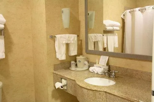 Bathroom in Holiday Inn Express Hotel and Suites Orange