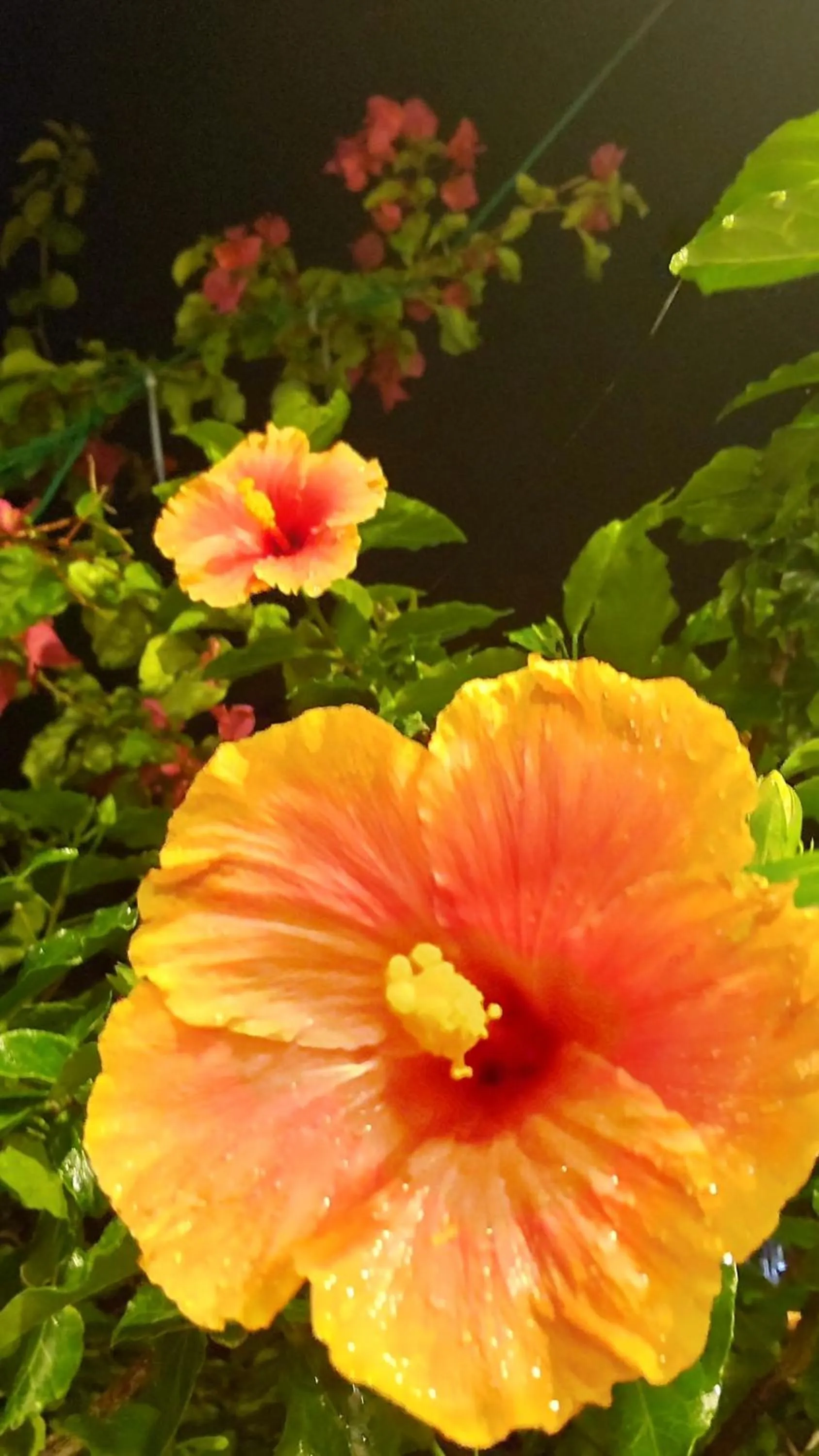 Onna Japanese Style Hotel Hokkaisou