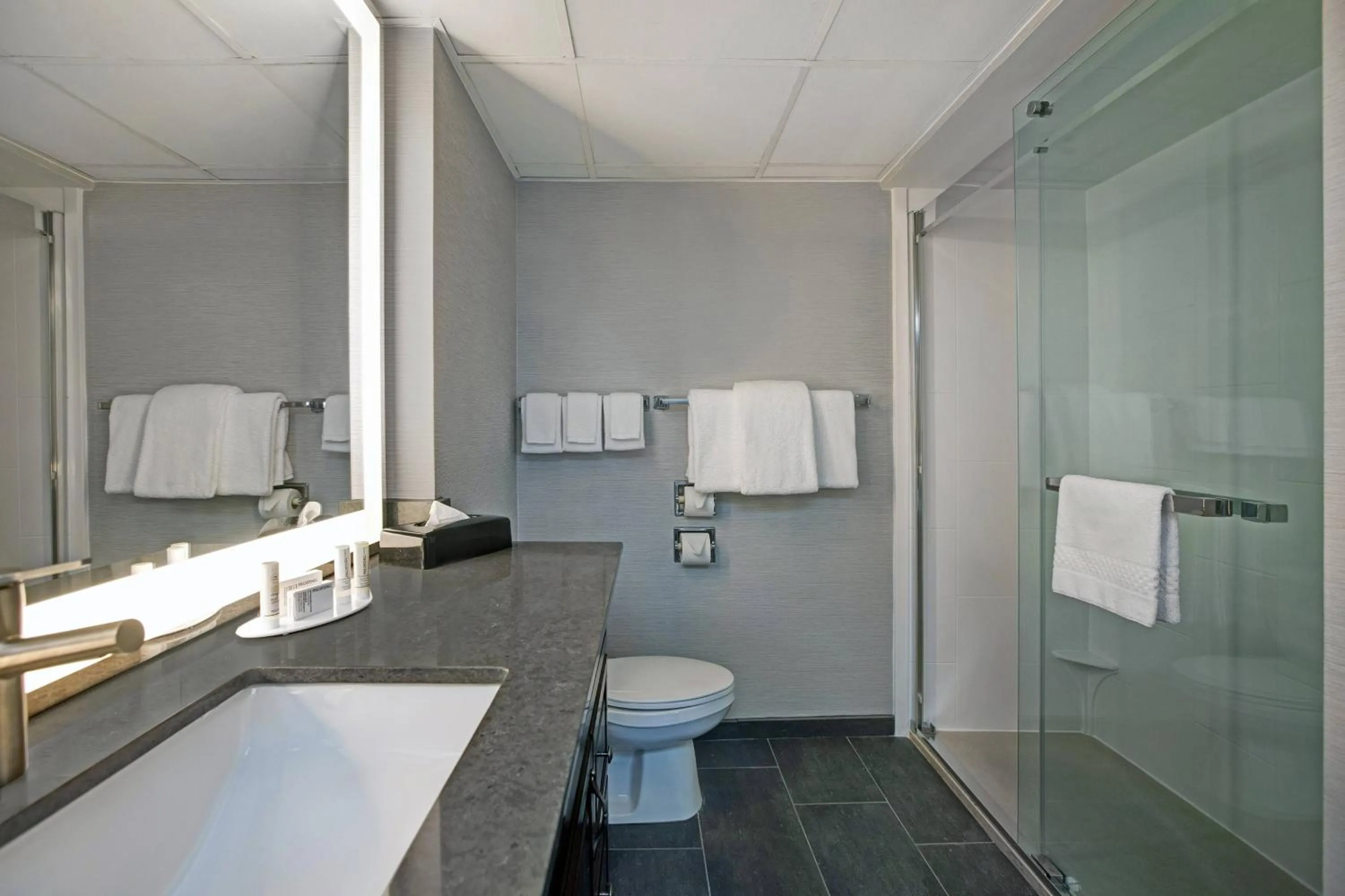 Bathroom in Courtyard Chicago Elmhurst/Oakbrook Area