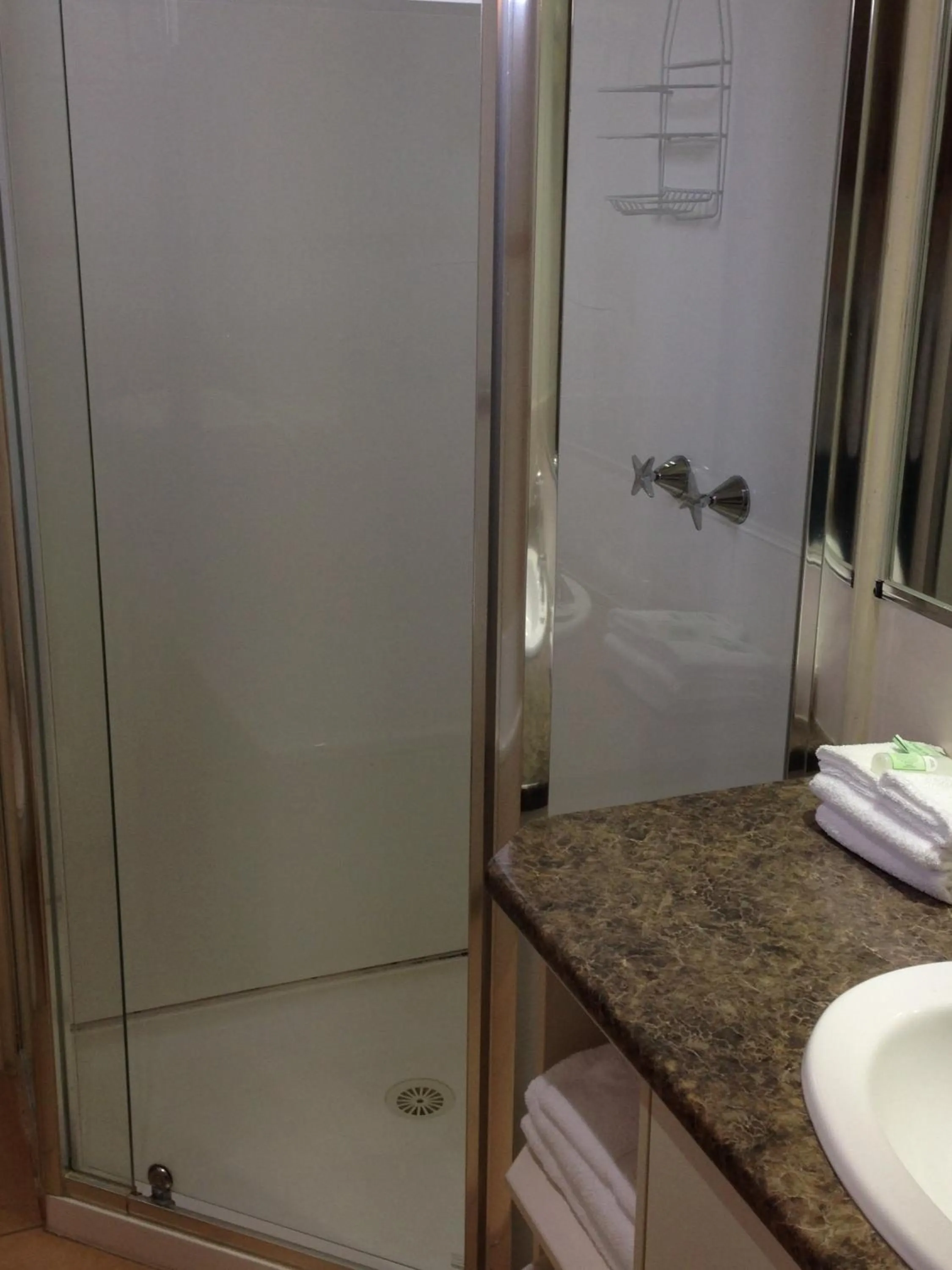 Bathroom in Albury Regent Motel