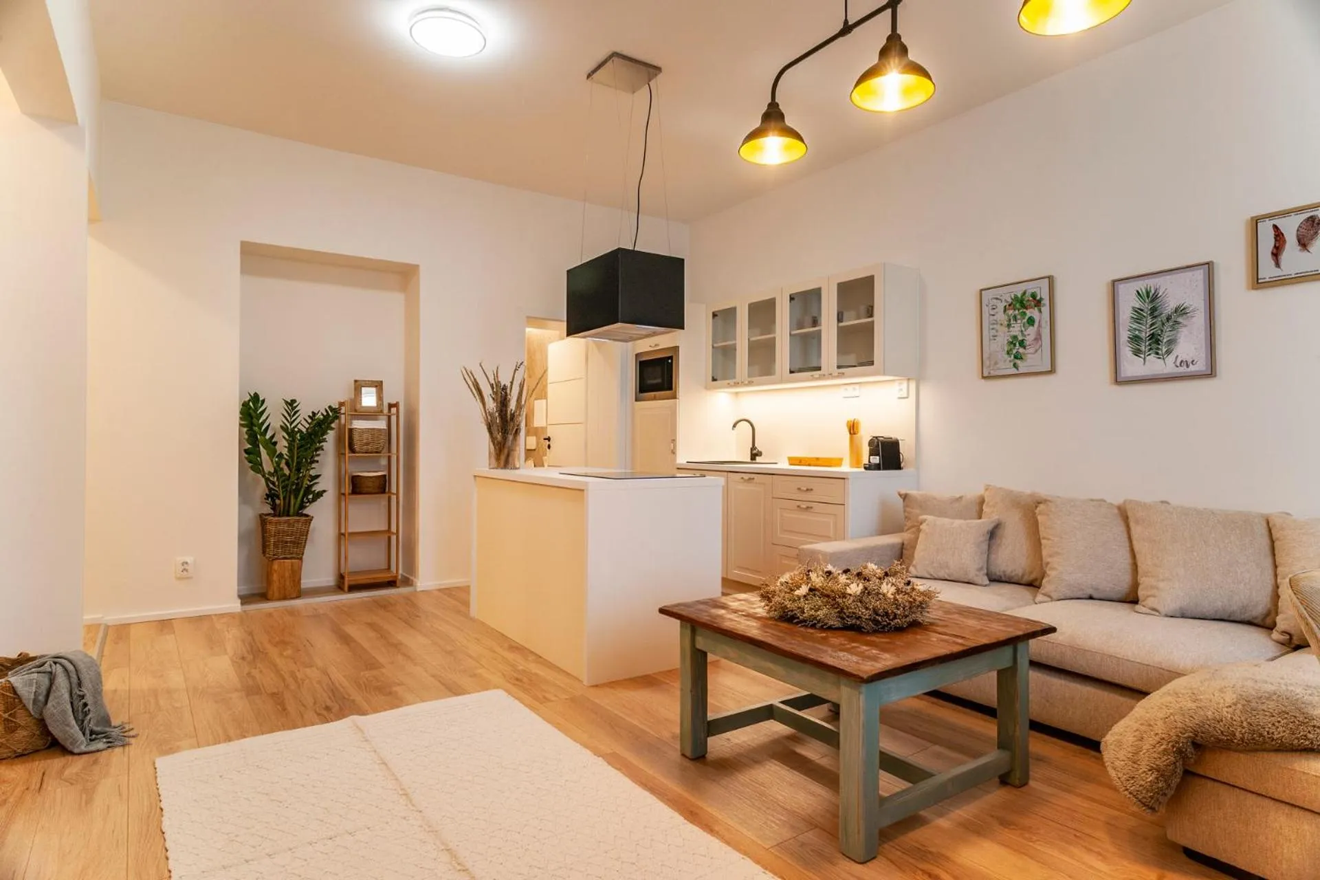 Large Double Room - single occupancy in STING Boutique Apartments