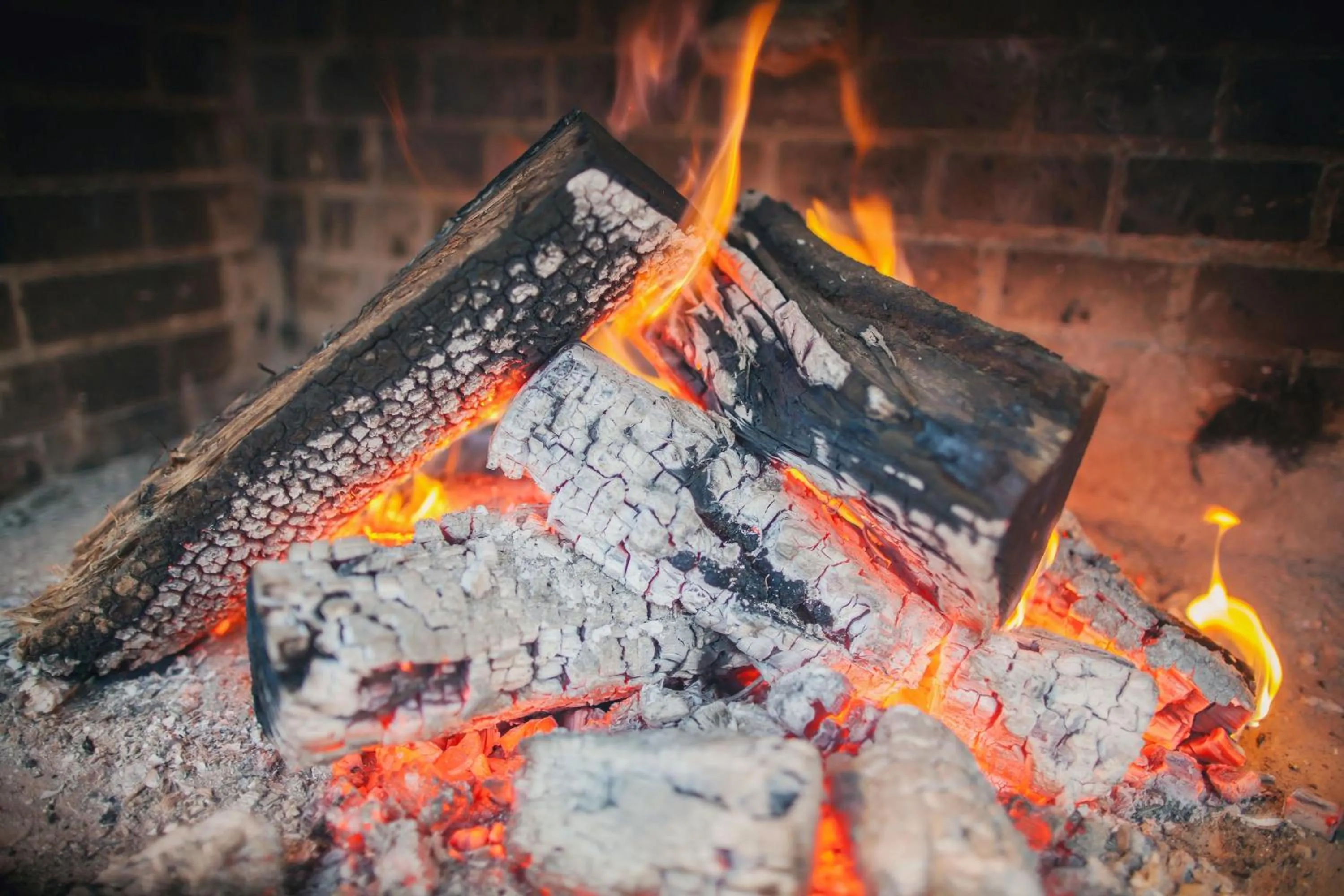 Decorative detail in Can Miquel