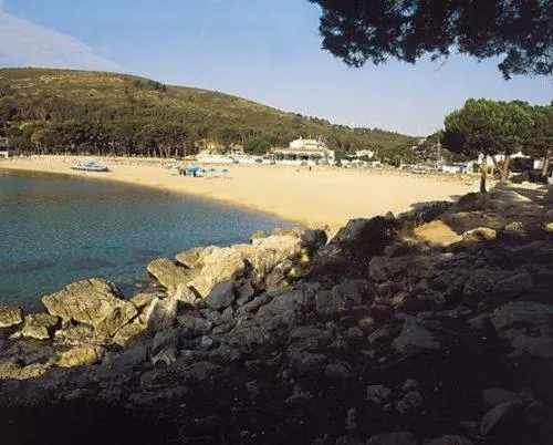 Bird's eye view in Can Miquel