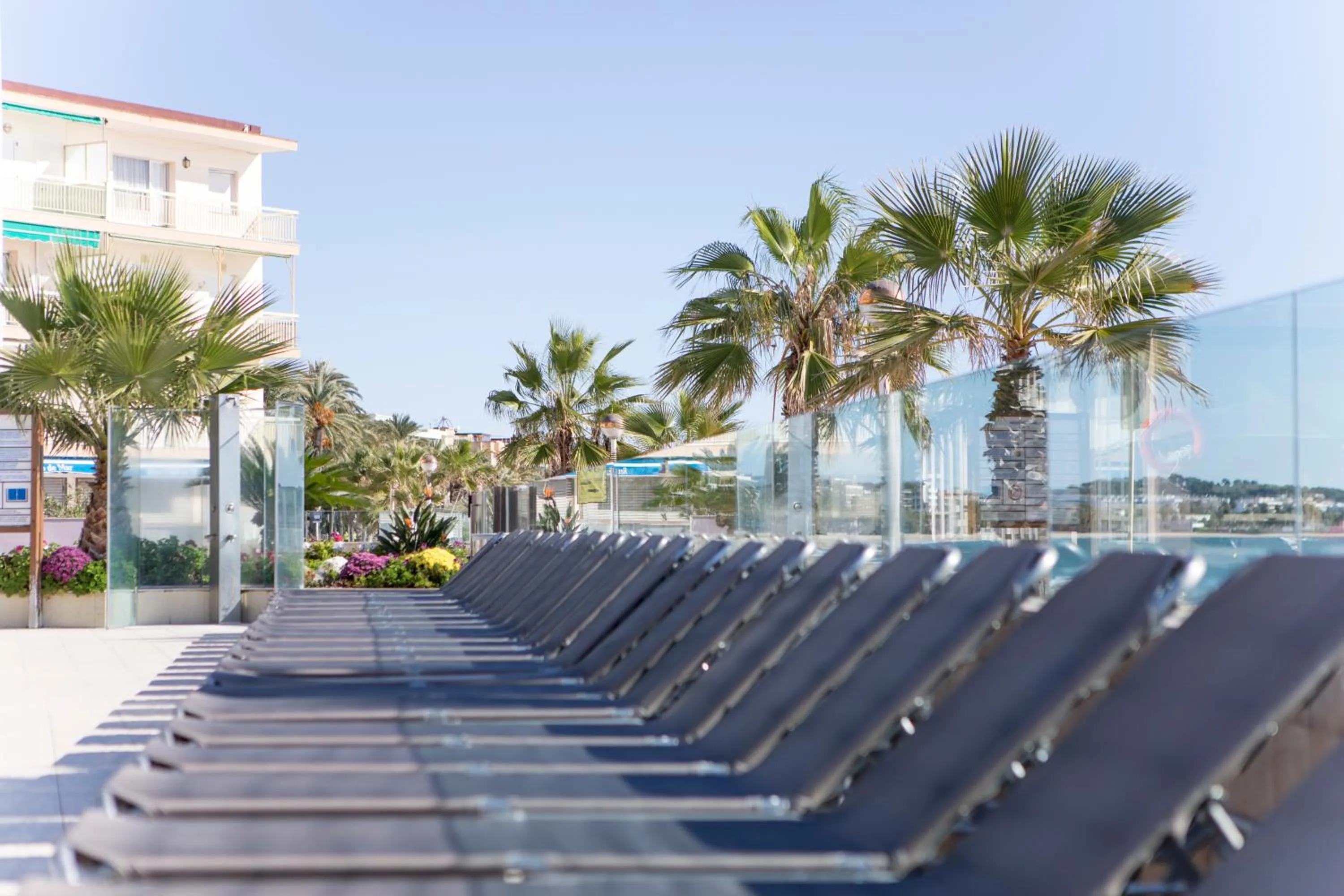 Solarium in Apartamentos Turísticos Augustus