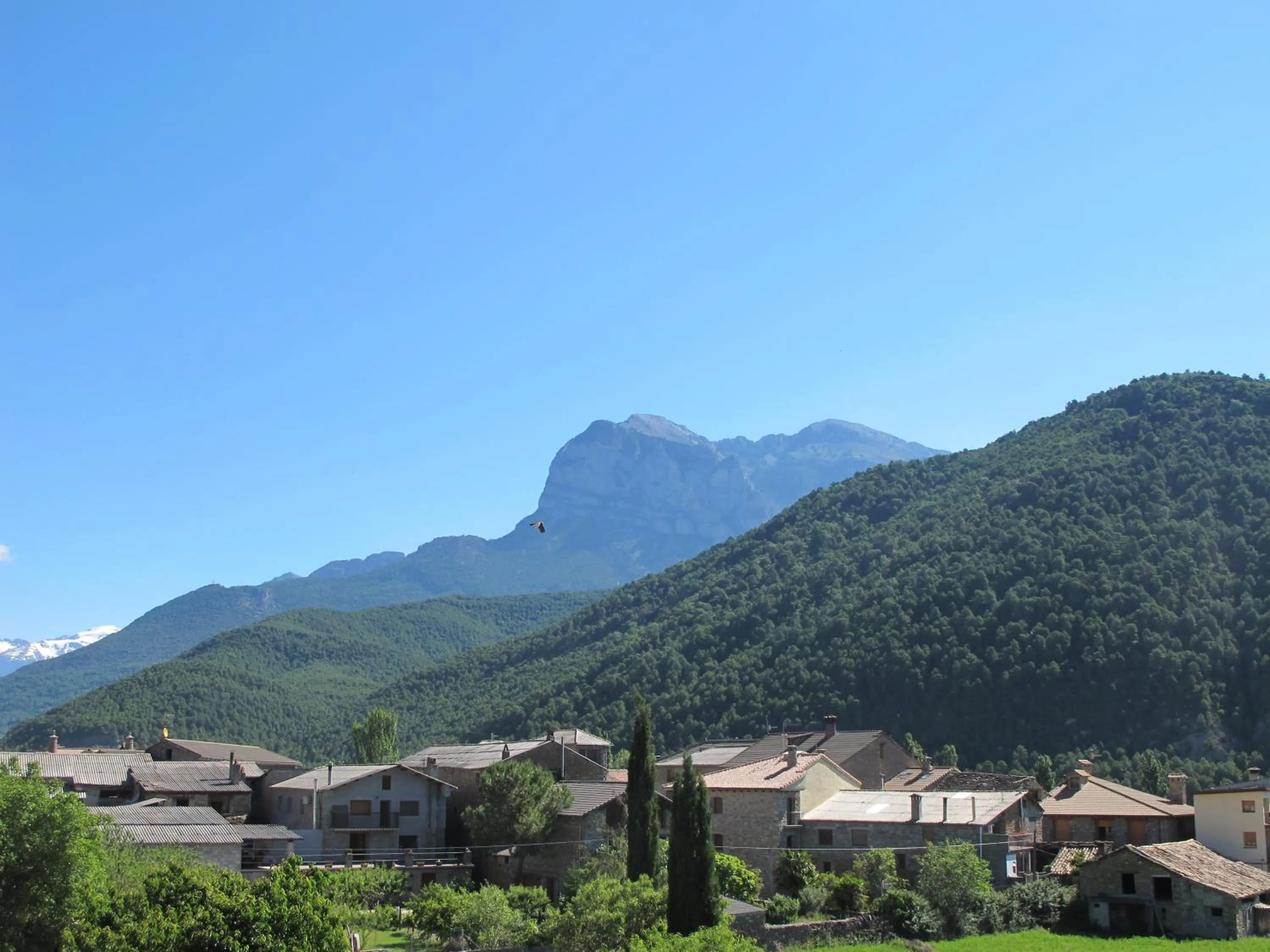 View (from property/room) in Hotel Turmo