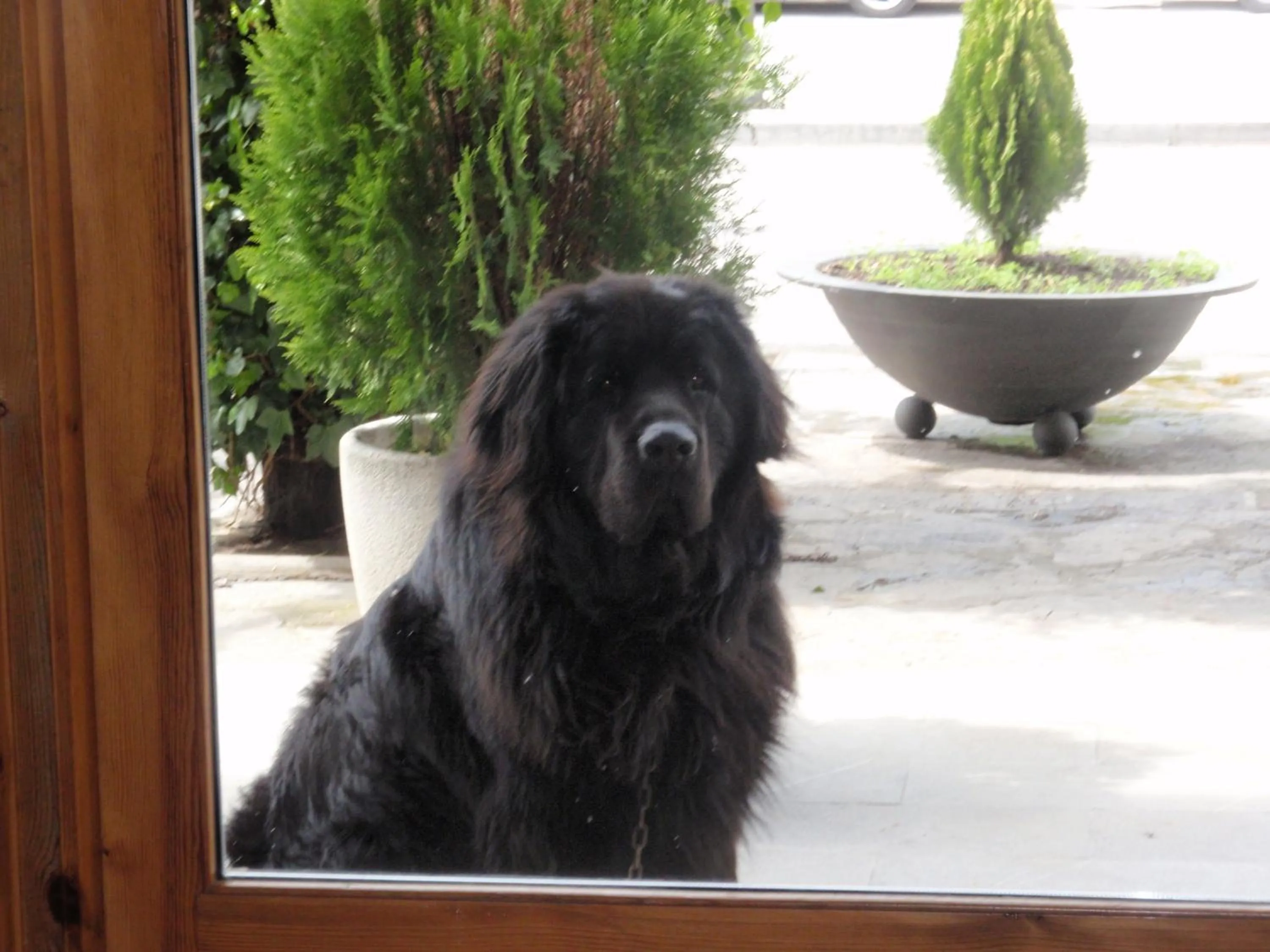 Lobby or reception in Hotel Turmo