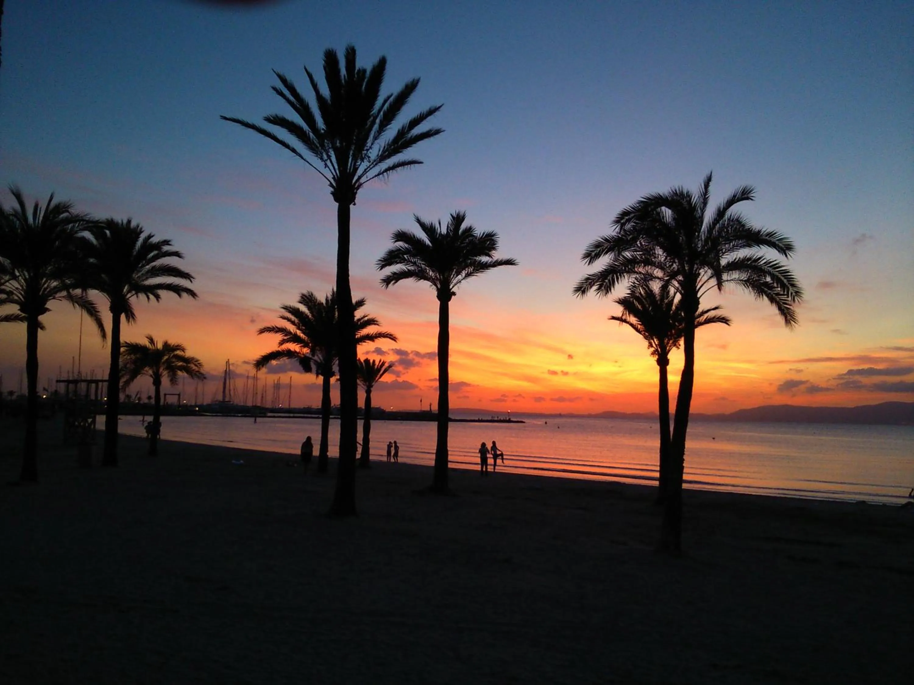 Beach in Hotel Manaus