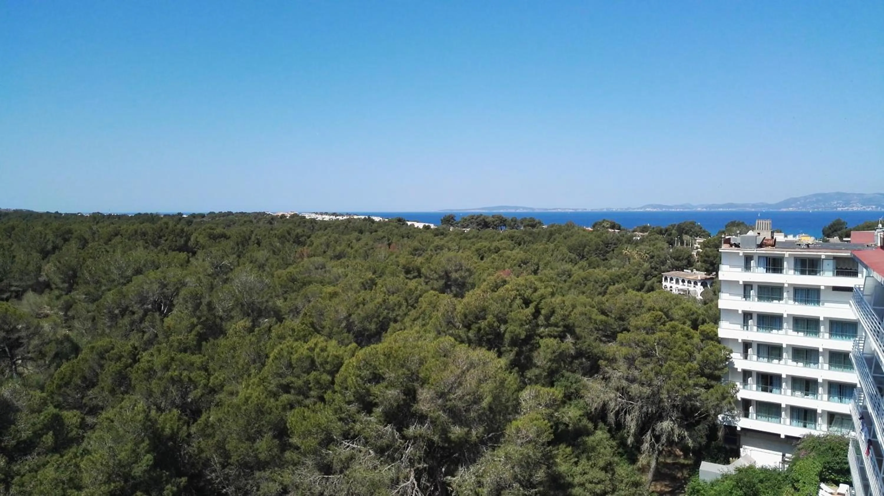 View (from property/room) in Hotel Manaus