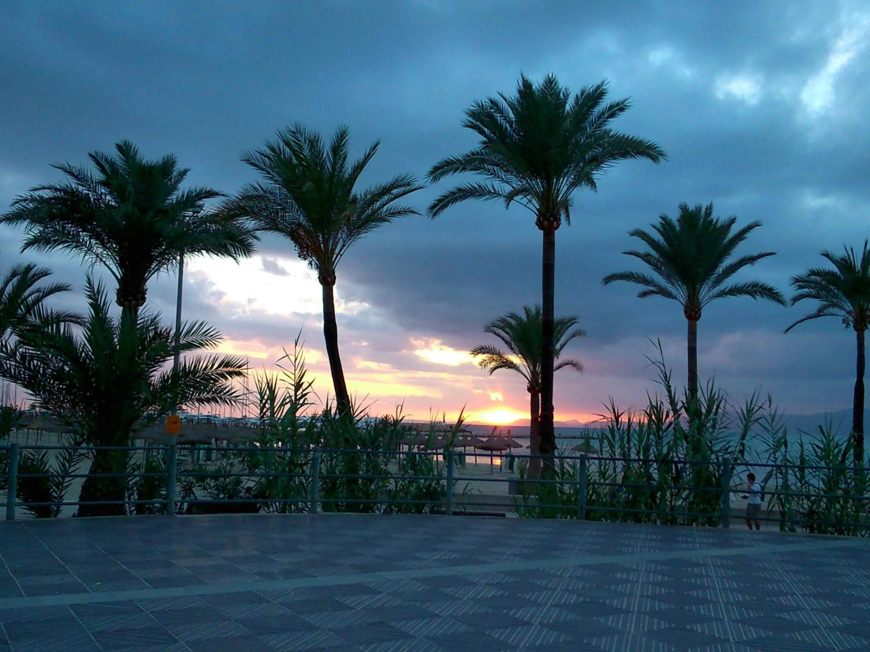 Nearby landmark in Hotel Manaus