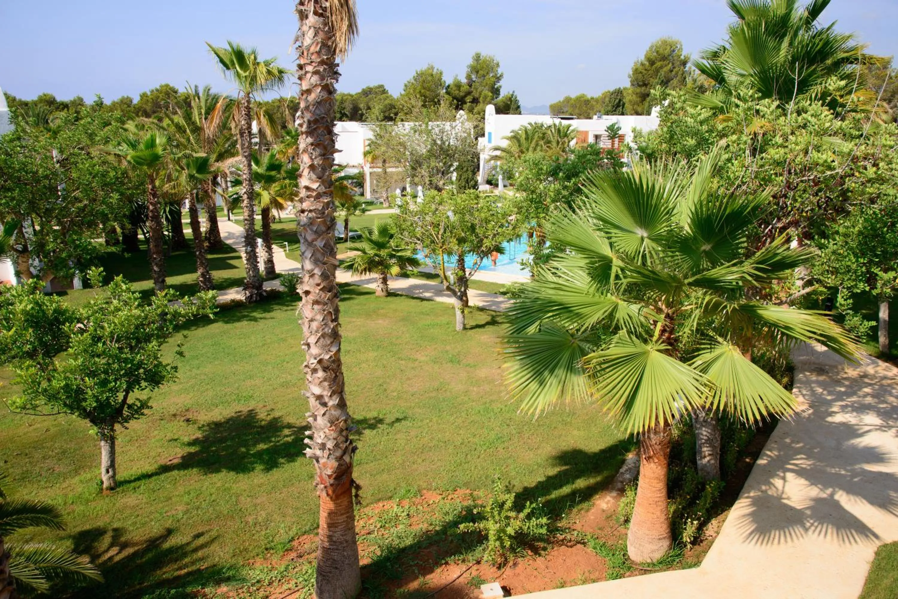 Property building in Cala Llenya Resort Ibiza