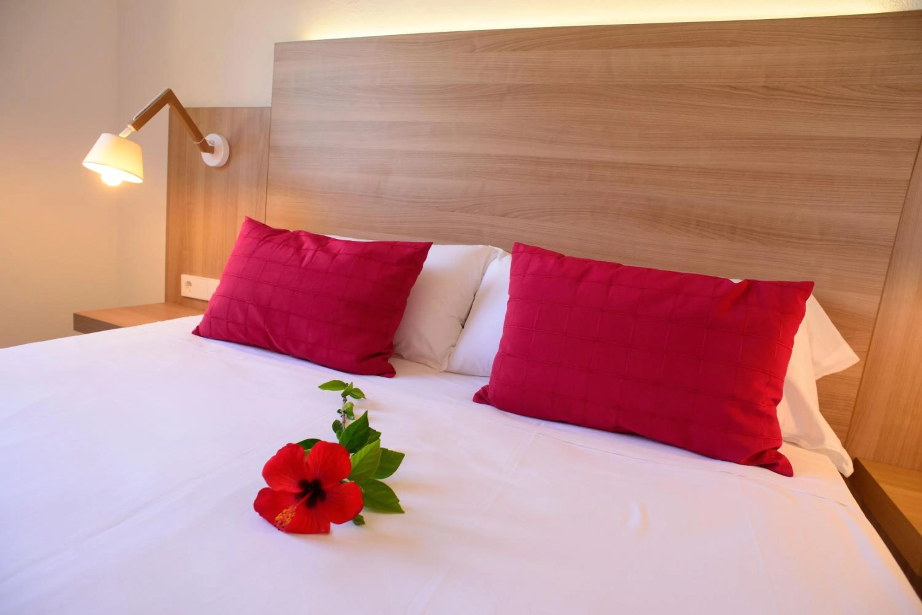 Bed in Cala Llenya Resort Ibiza