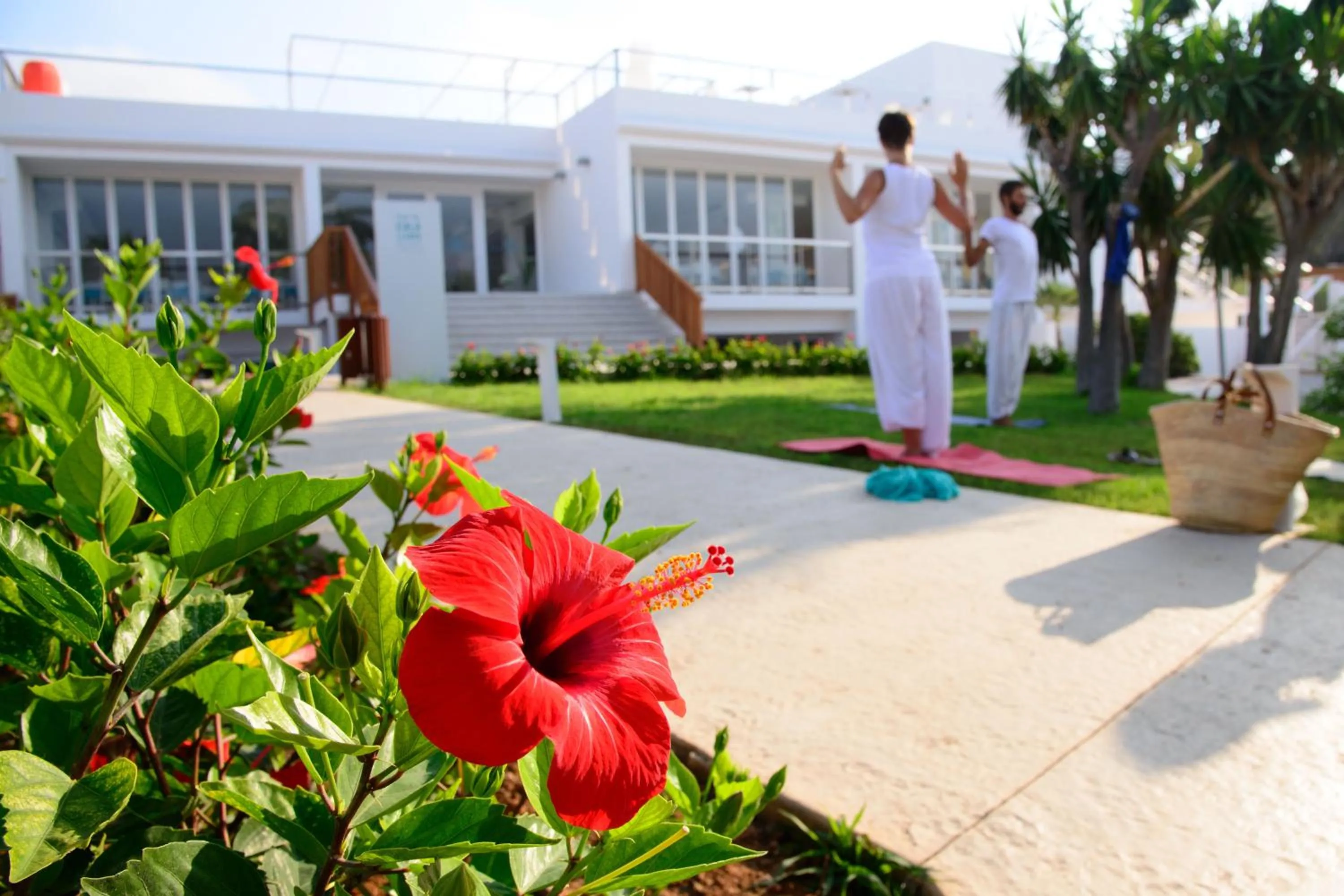 Activities in Cala Llenya Resort Ibiza