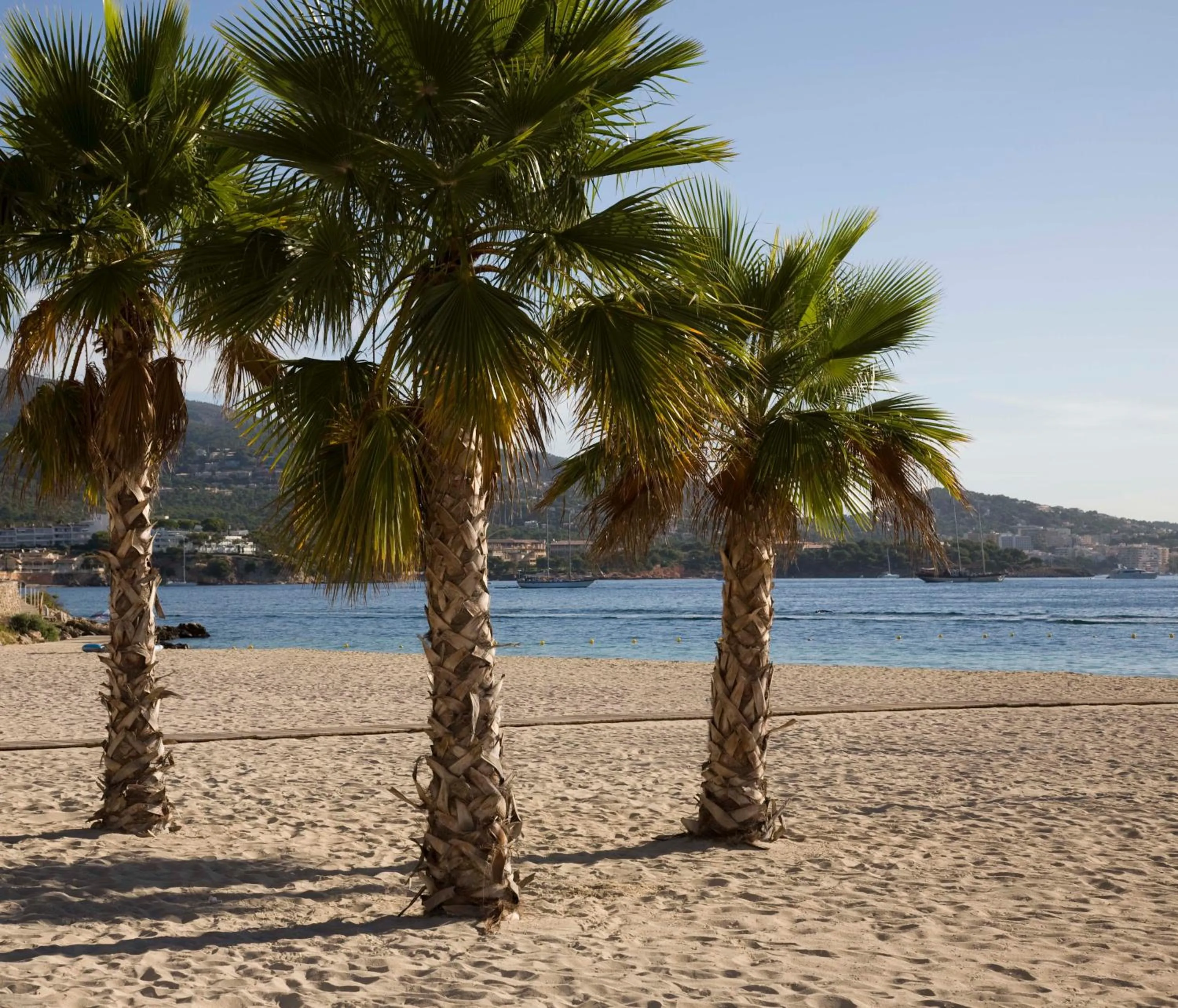 Nearby landmark in Globales Panamá - Adults Only