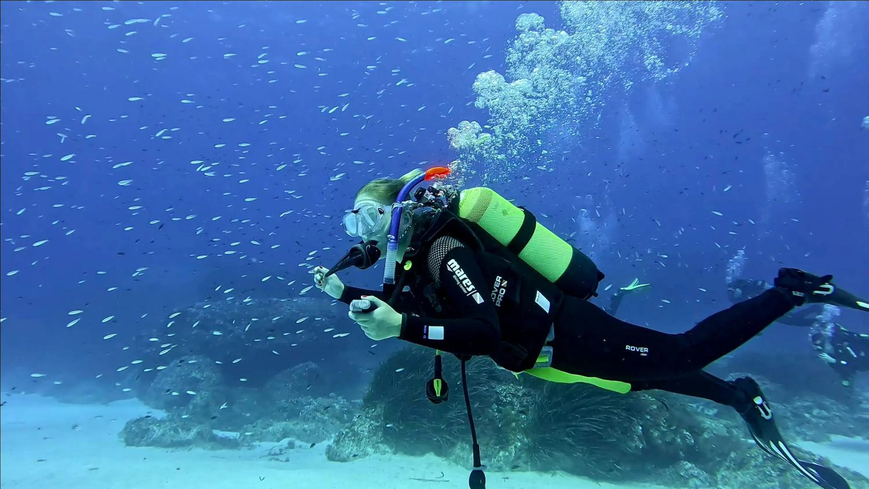 Activities in Smy Portocolom - Renovated 2026