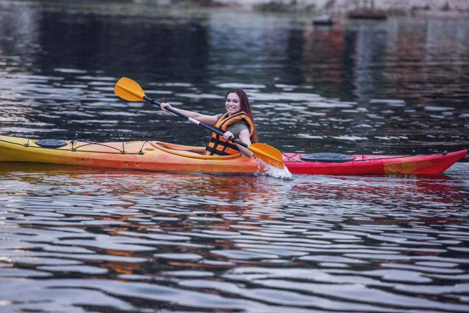 Activities in Smy Portocolom - Renovated 2026