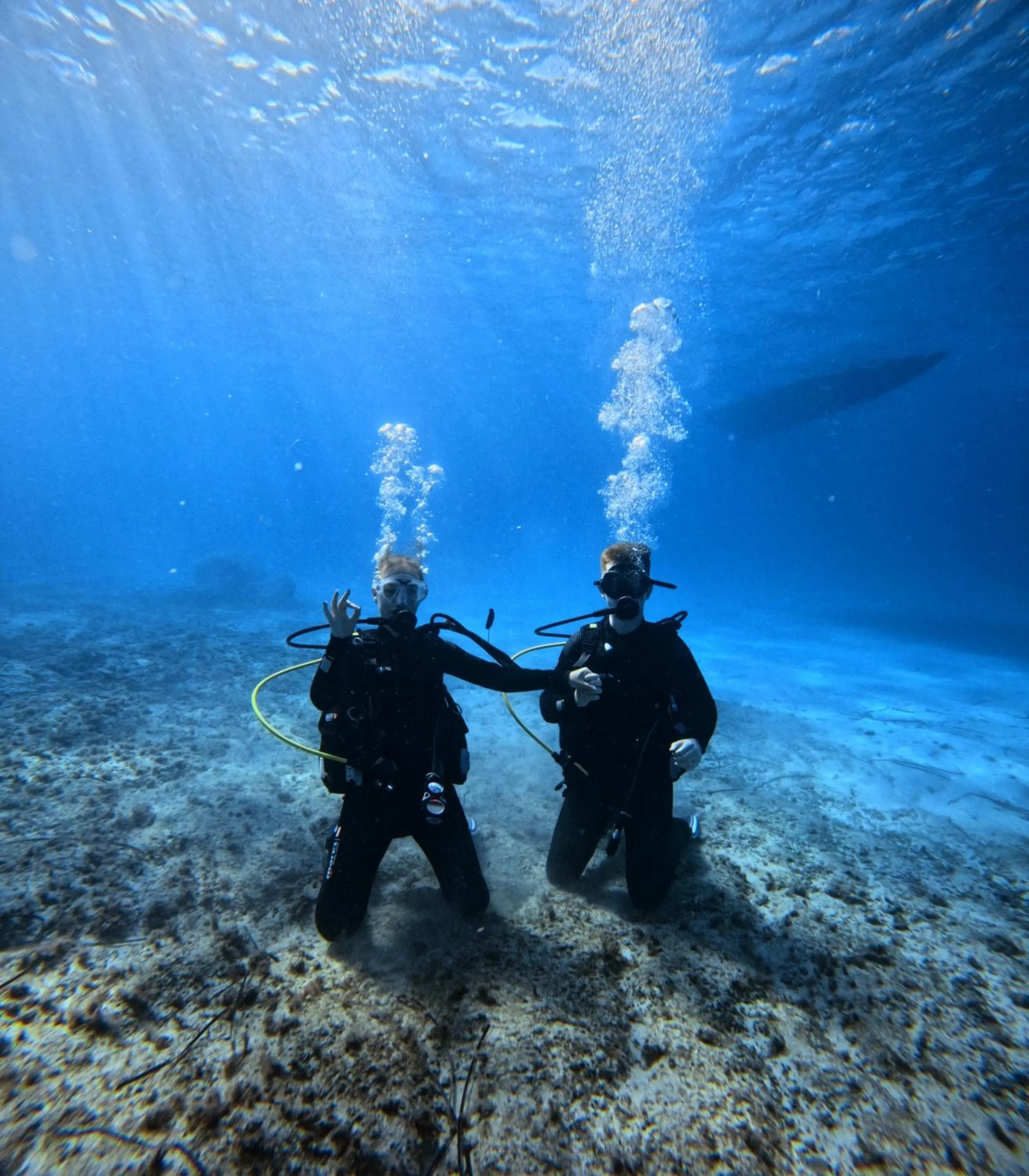 Activities in Smy Portocolom - Renovated 2026