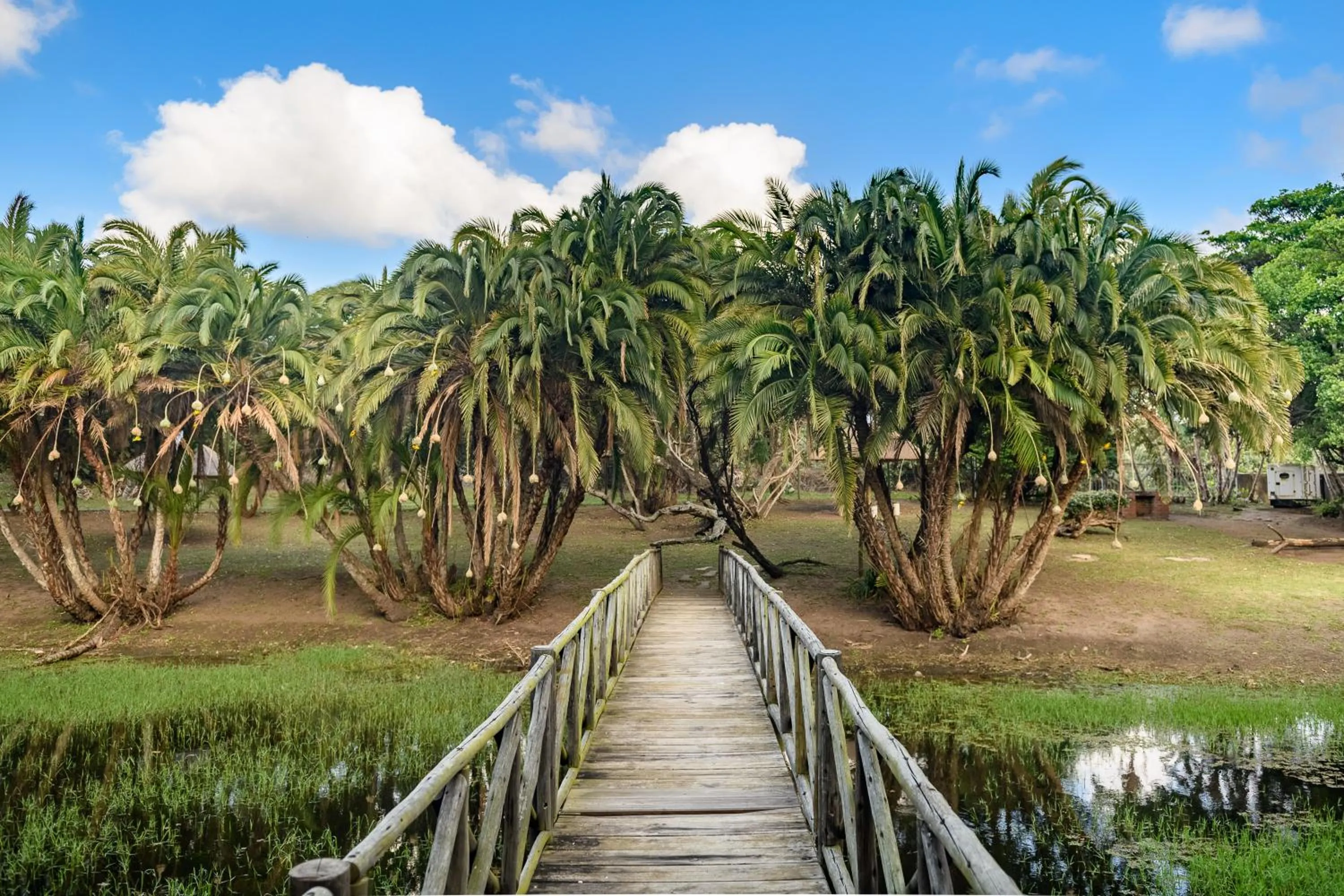 Garden view in Sugar Beach Resort