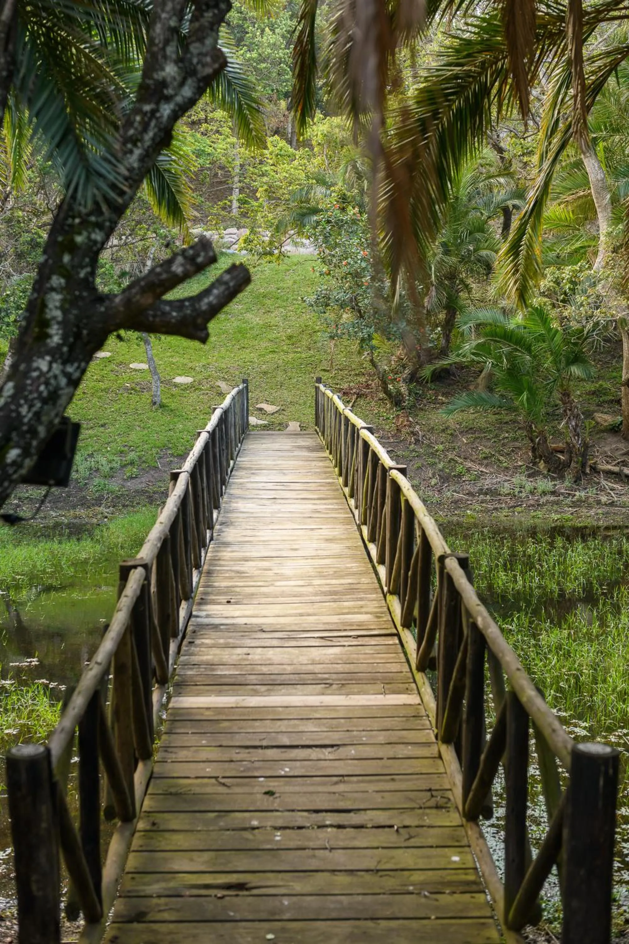 Natural landscape in Sugar Beach Resort