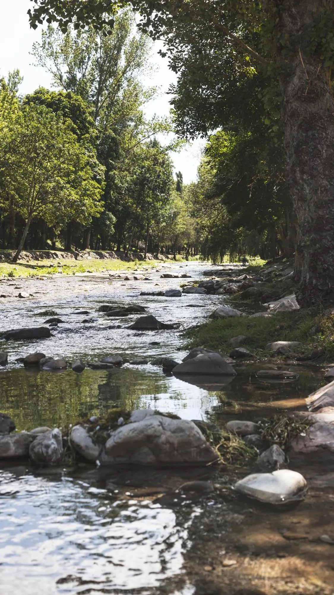 Apartamentos Turísticos Real Valle Ezcaray
