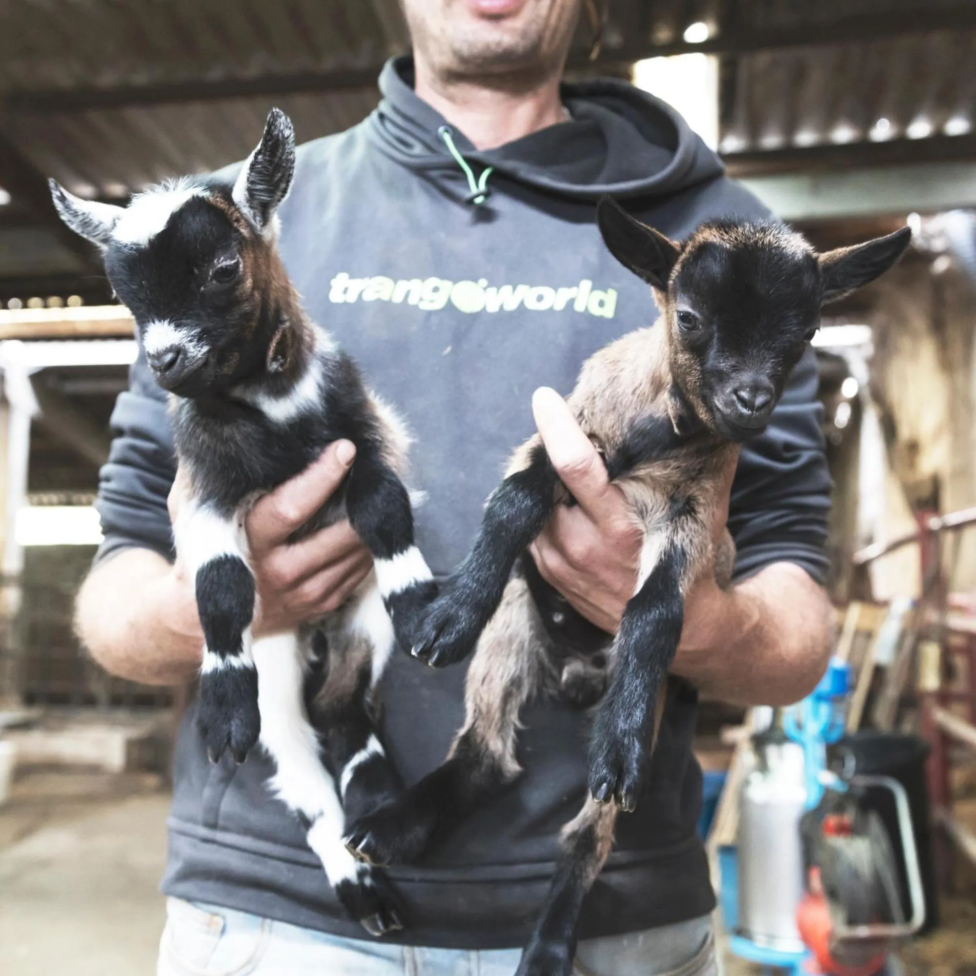 Apartamentos Turísticos Real Valle Ezcaray