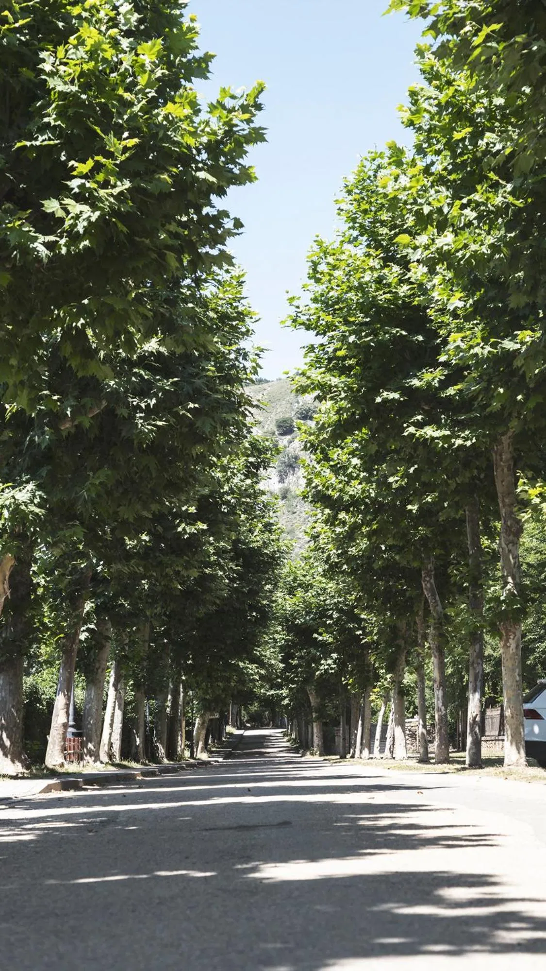 Apartamentos Turísticos Real Valle Ezcaray