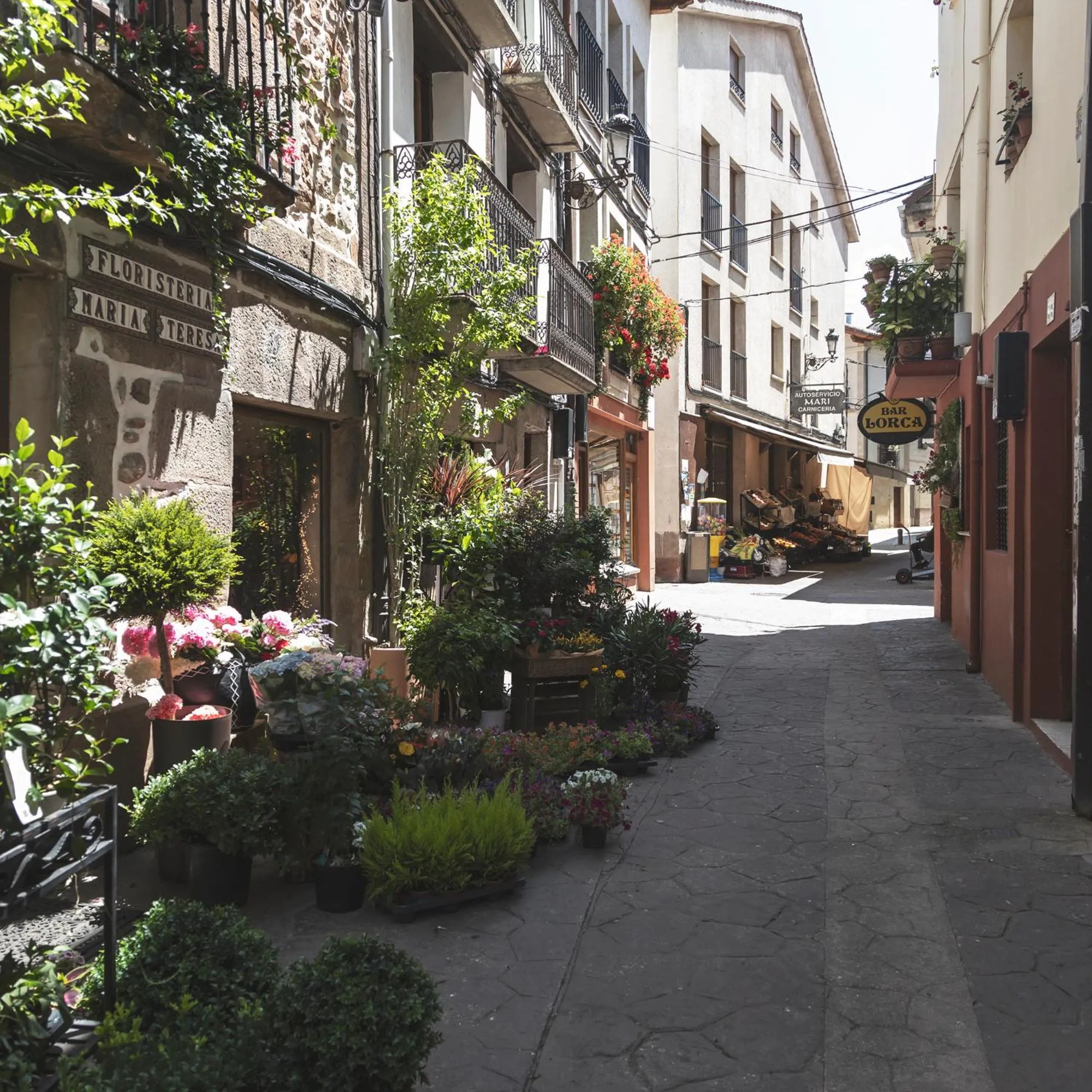 Apartamentos Turísticos Real Valle Ezcaray