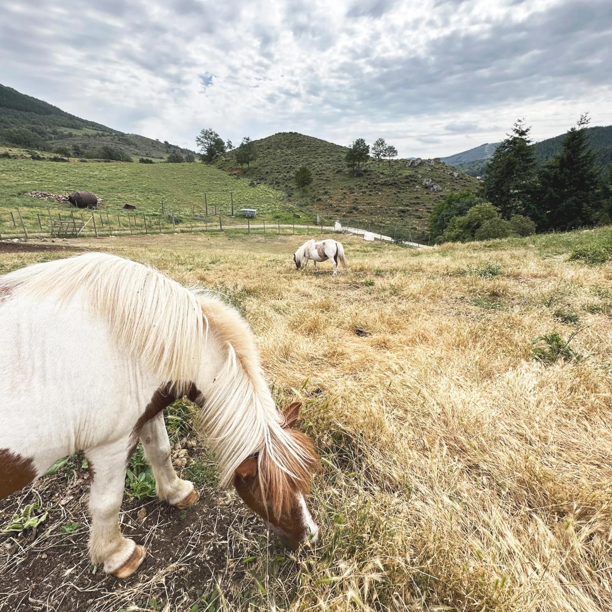 Apartamentos Turísticos Real Valle Ezcaray