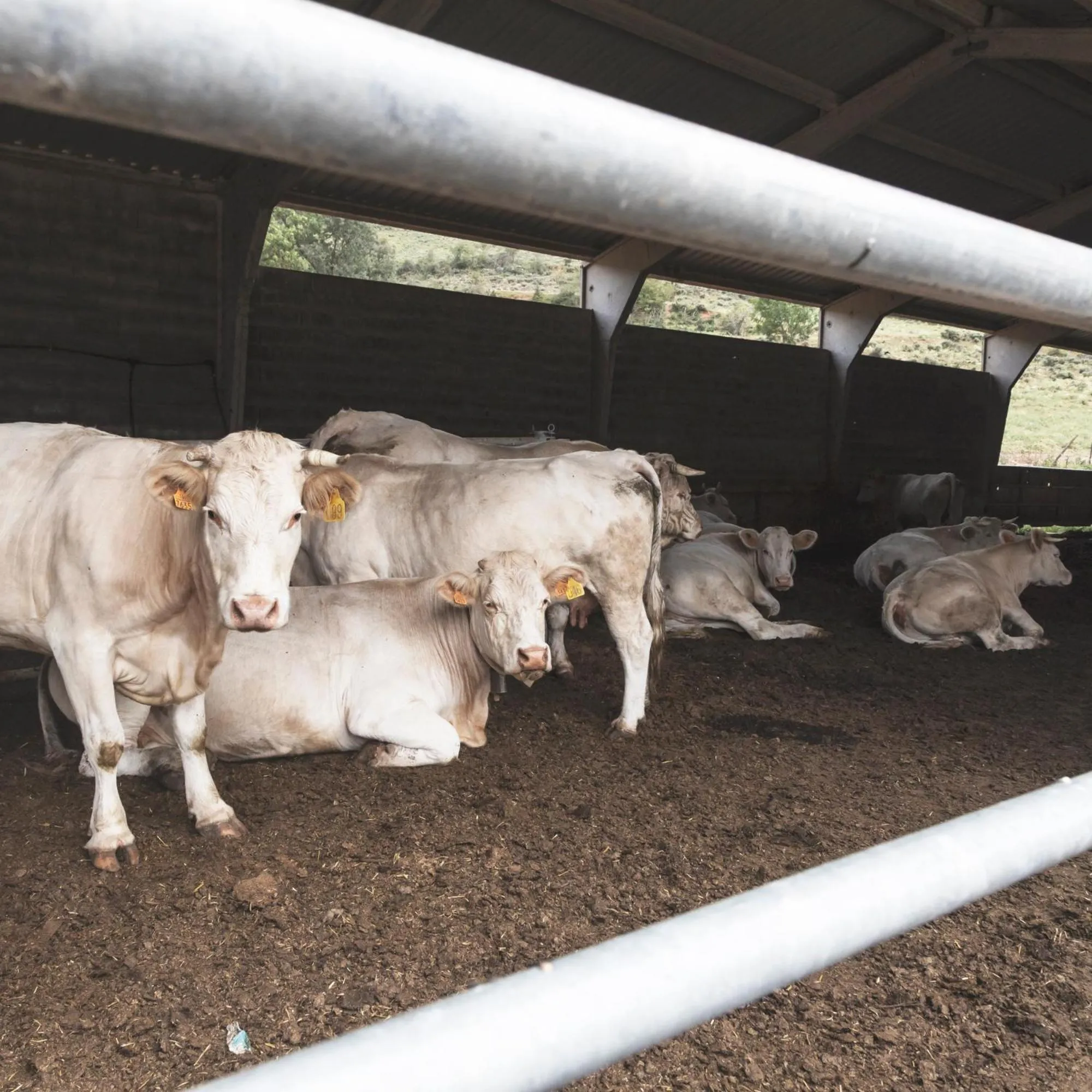 Apartamentos Turísticos Real Valle Ezcaray