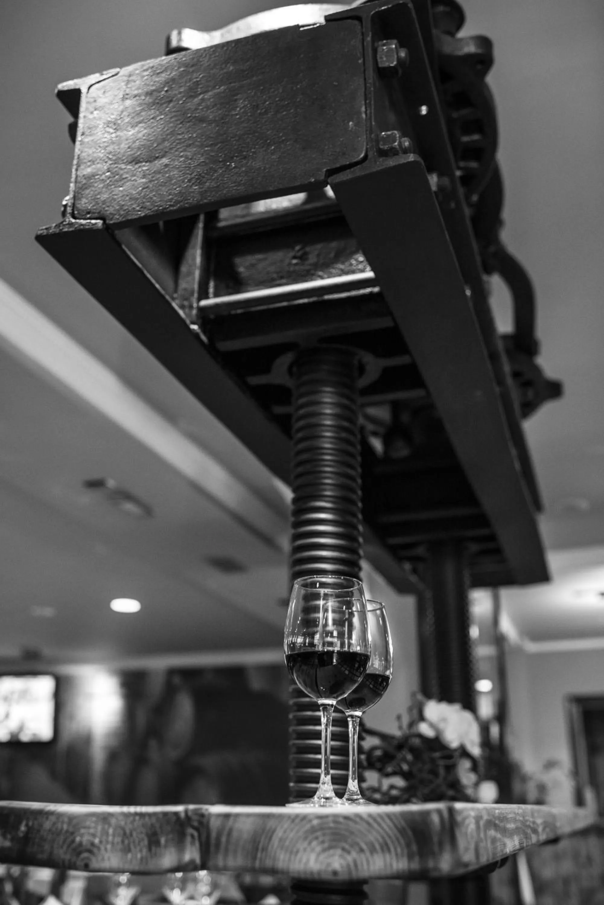 Lounge or bar in Villa de Elciego