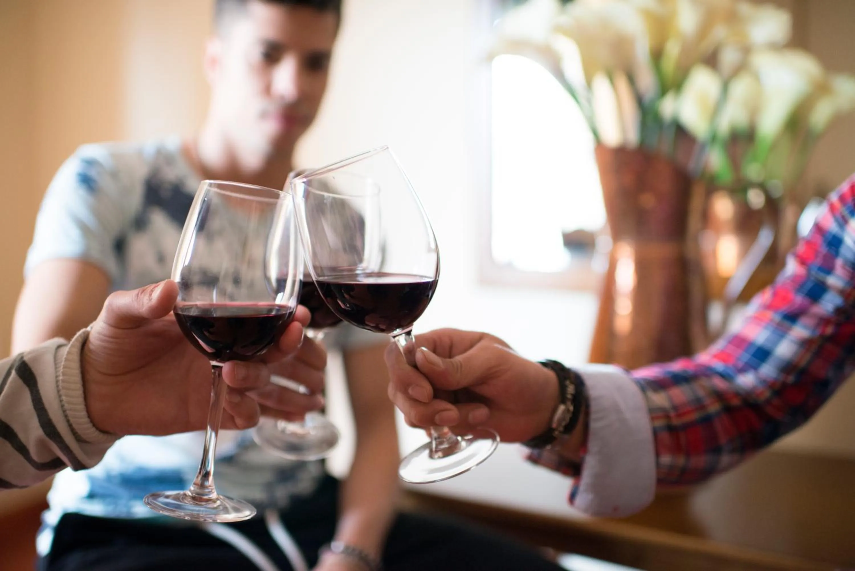 People in Villa de Elciego