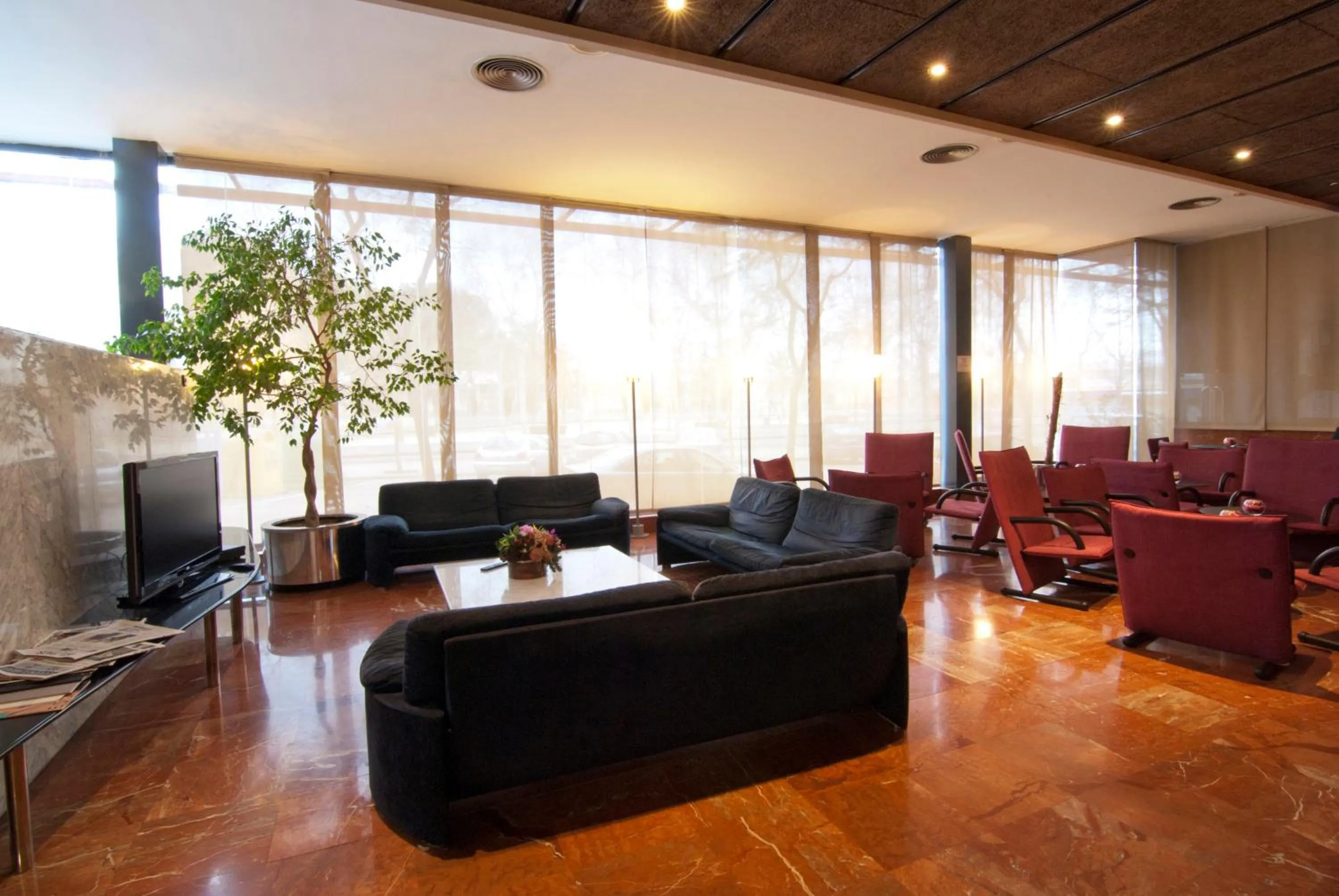 Communal lounge/ TV room in Hotel Domo