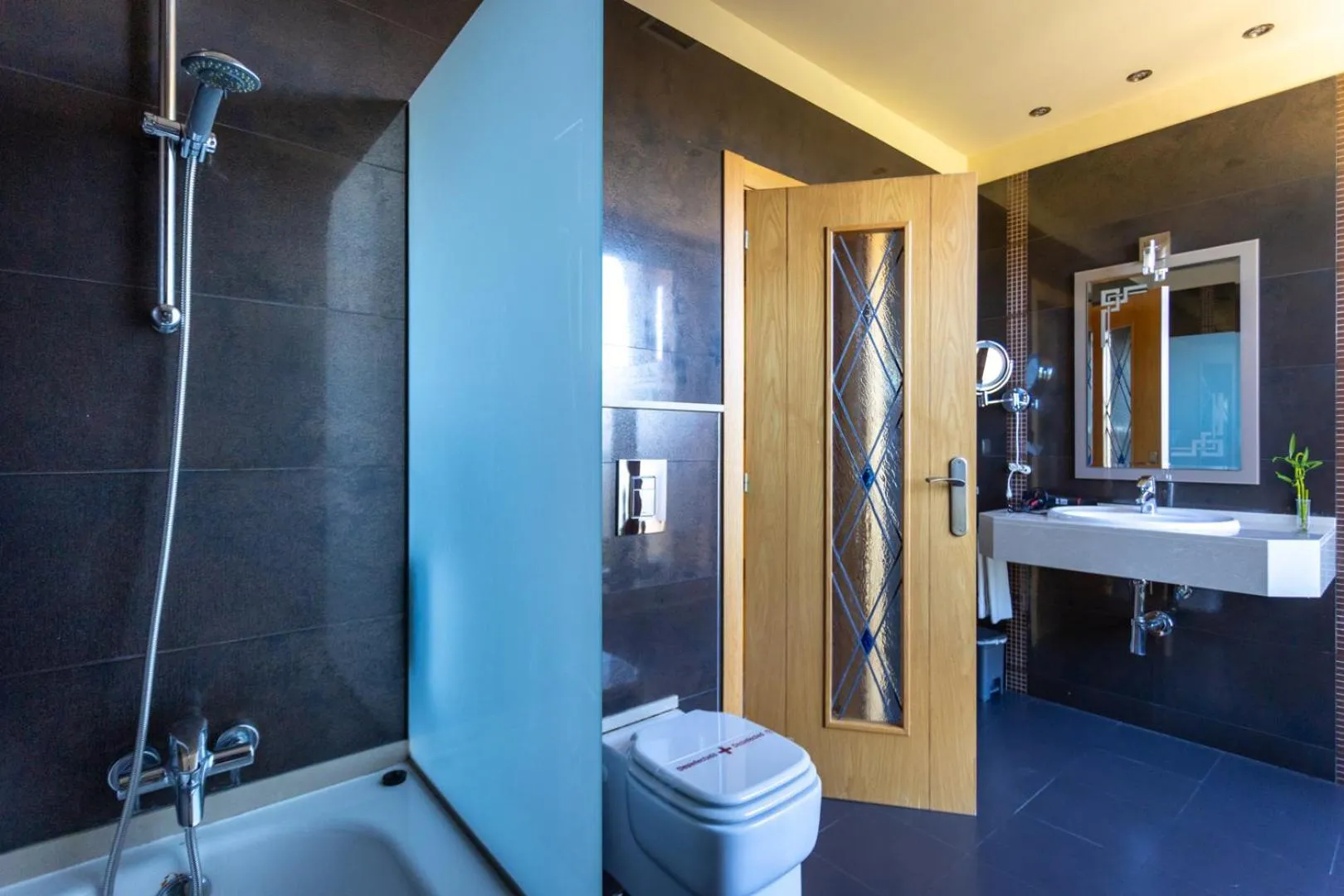 Bathroom in Hotel Felisa SPA