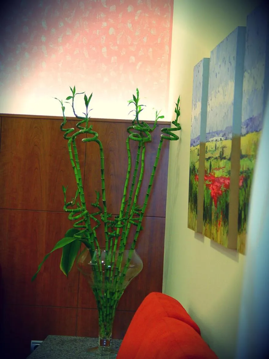 Decorative detail in Hotel Portonovo