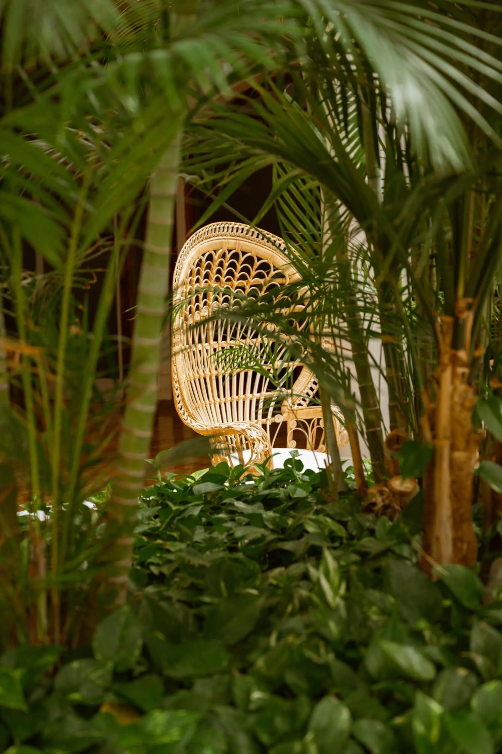 Day in Precise Resort Tenerife