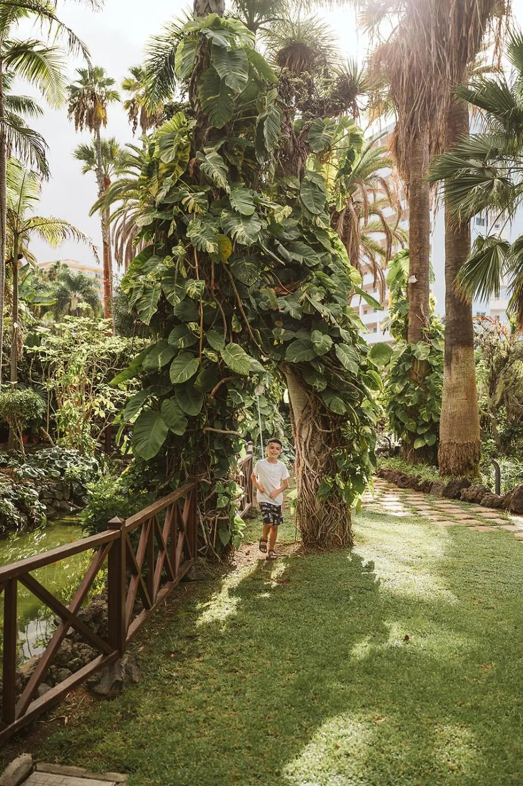 Natural landscape in Precise Resort Tenerife