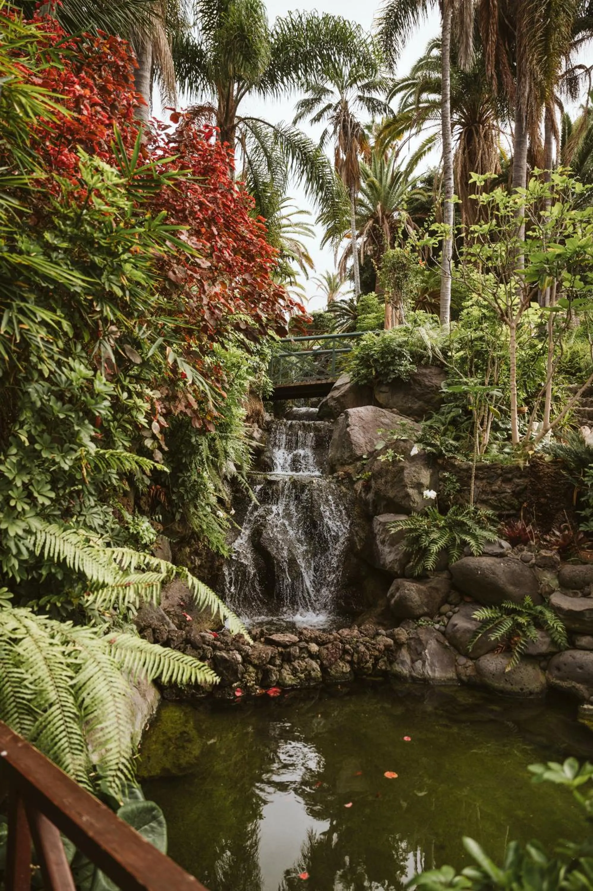 Natural landscape in Precise Resort Tenerife
