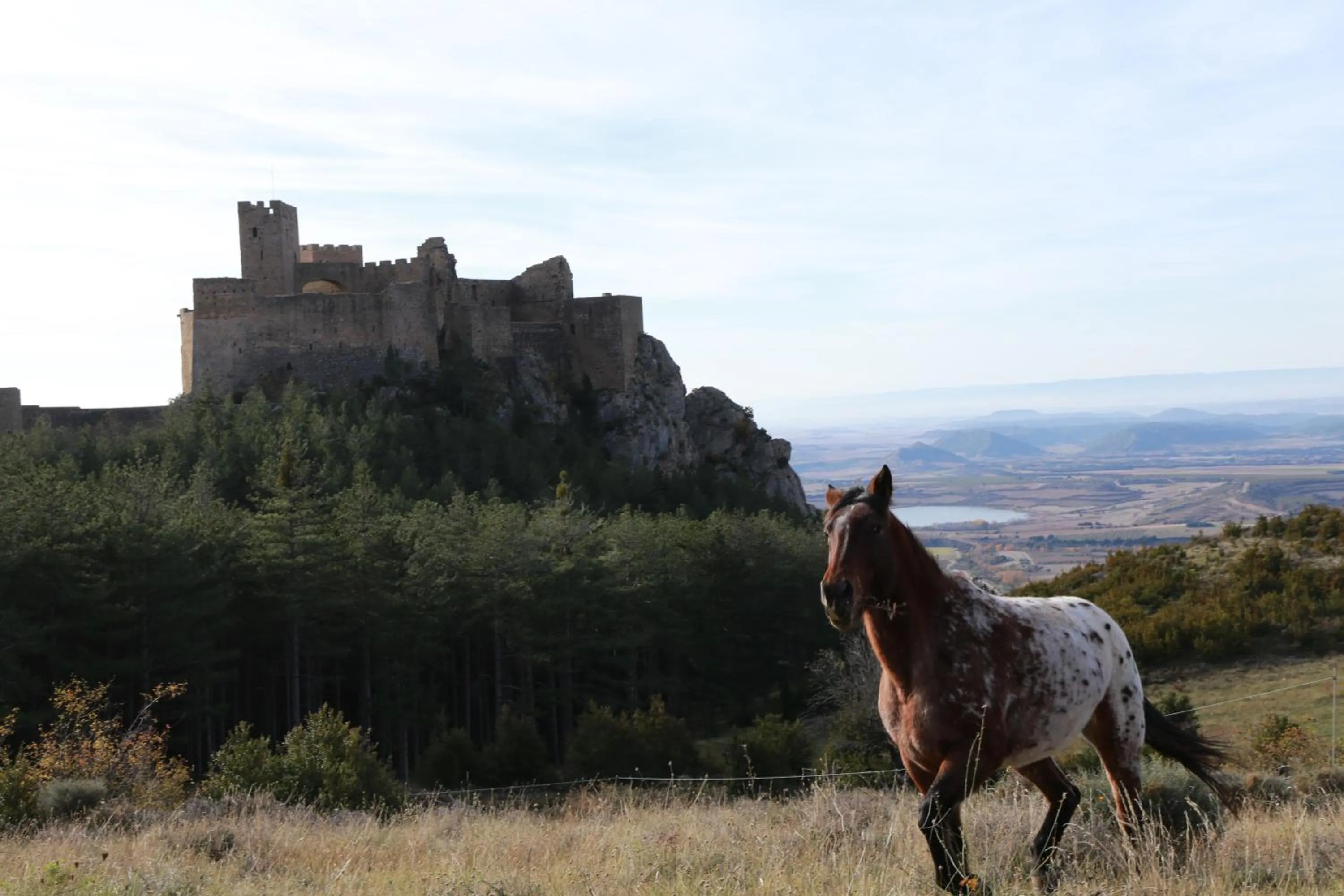 Hospederia de Loarre
