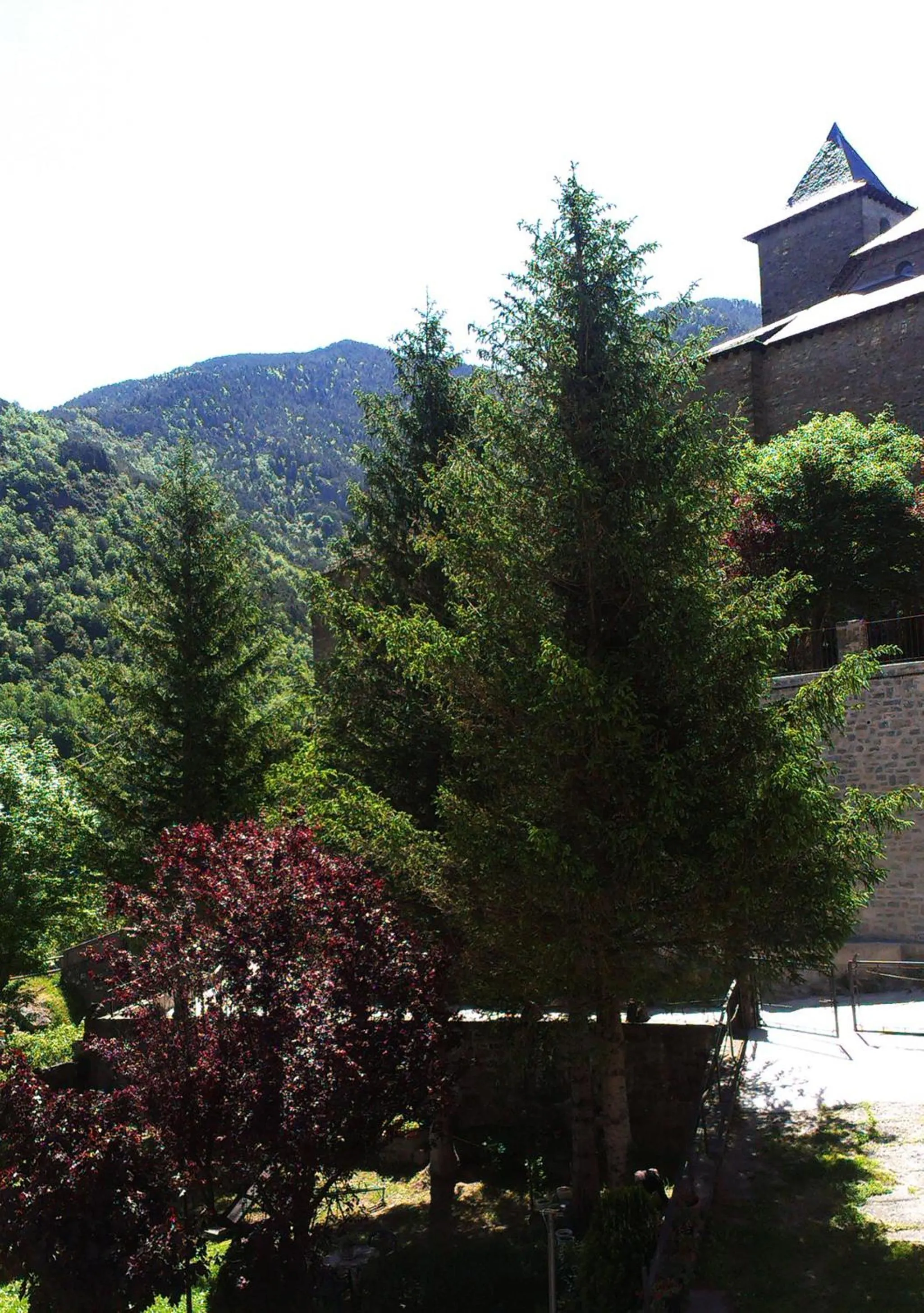 Mountain view in Edelweiss Hotel