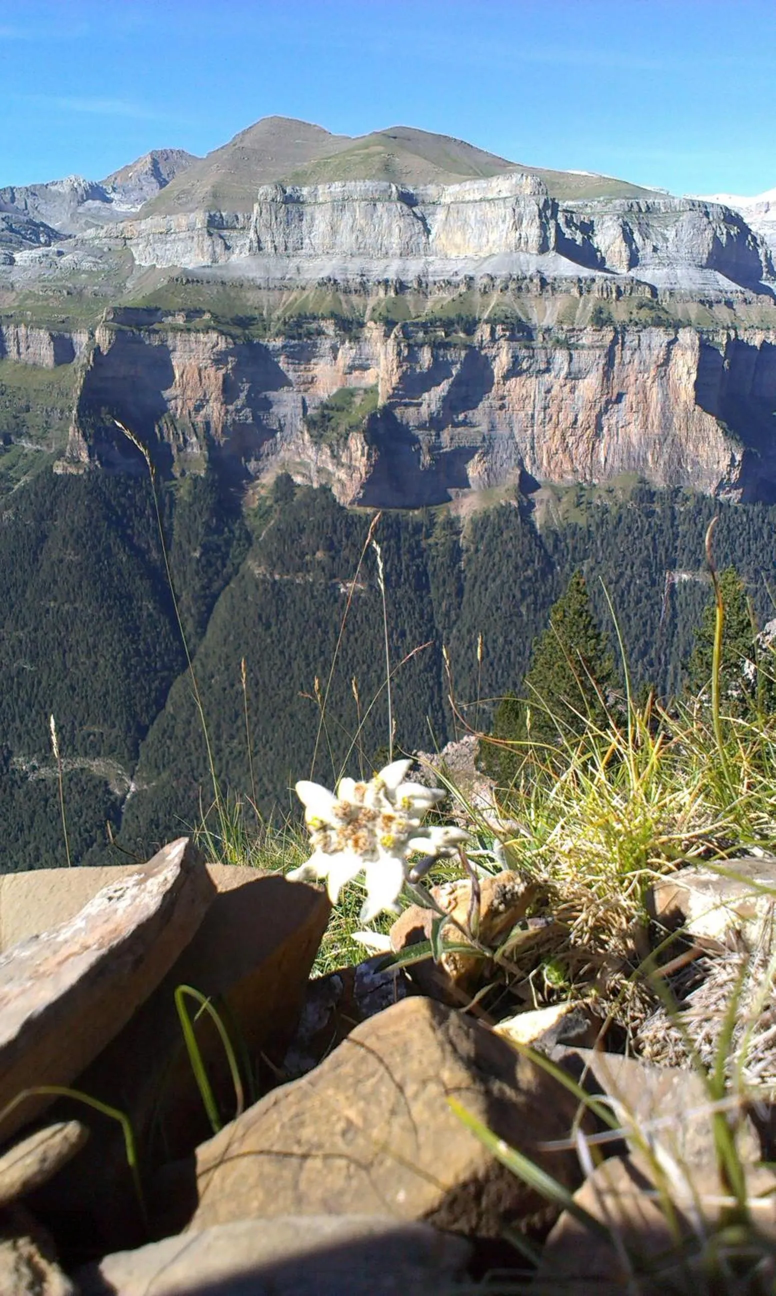 Hiking in Edelweiss Hotel