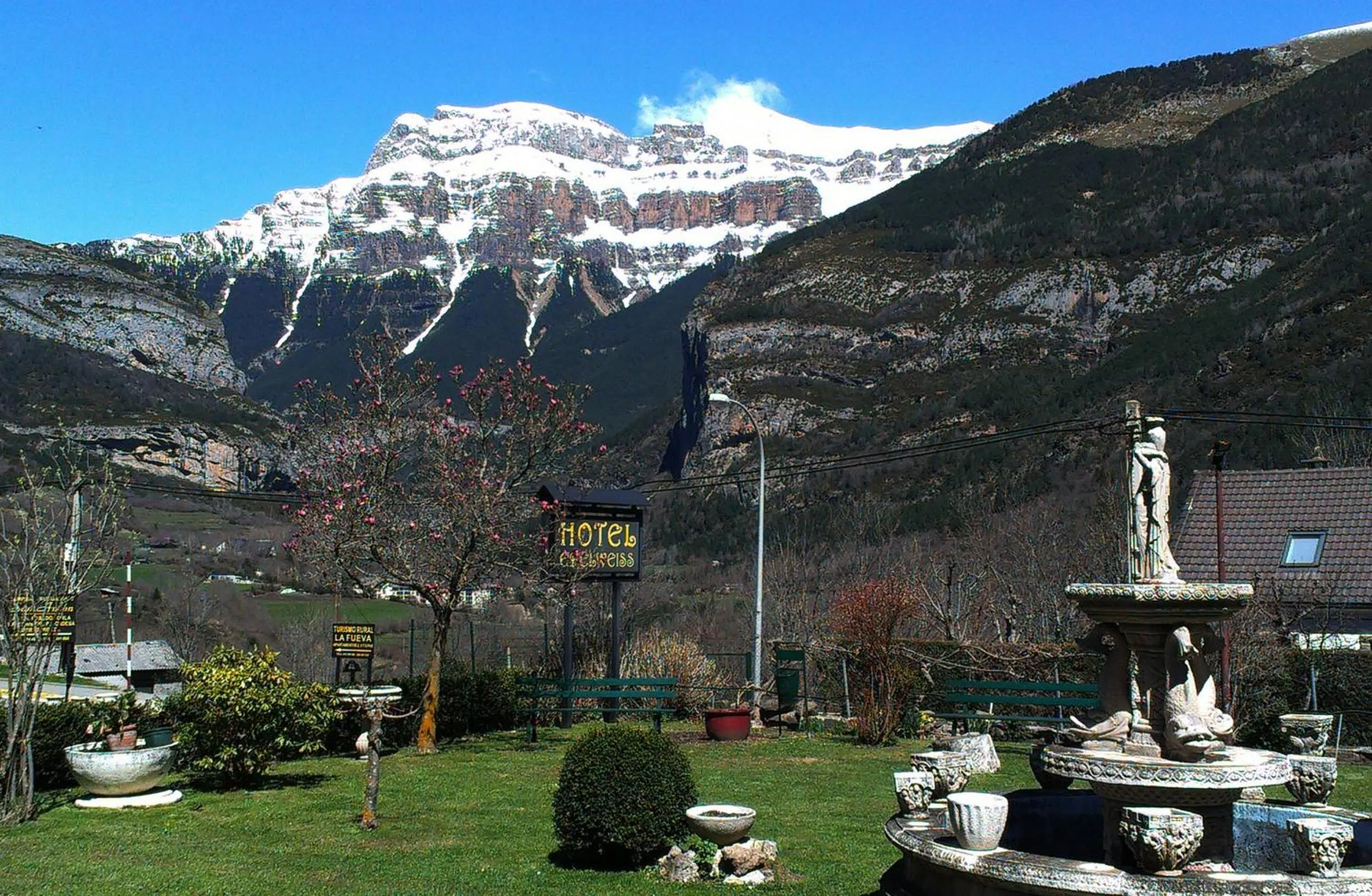 Garden in Edelweiss Hotel