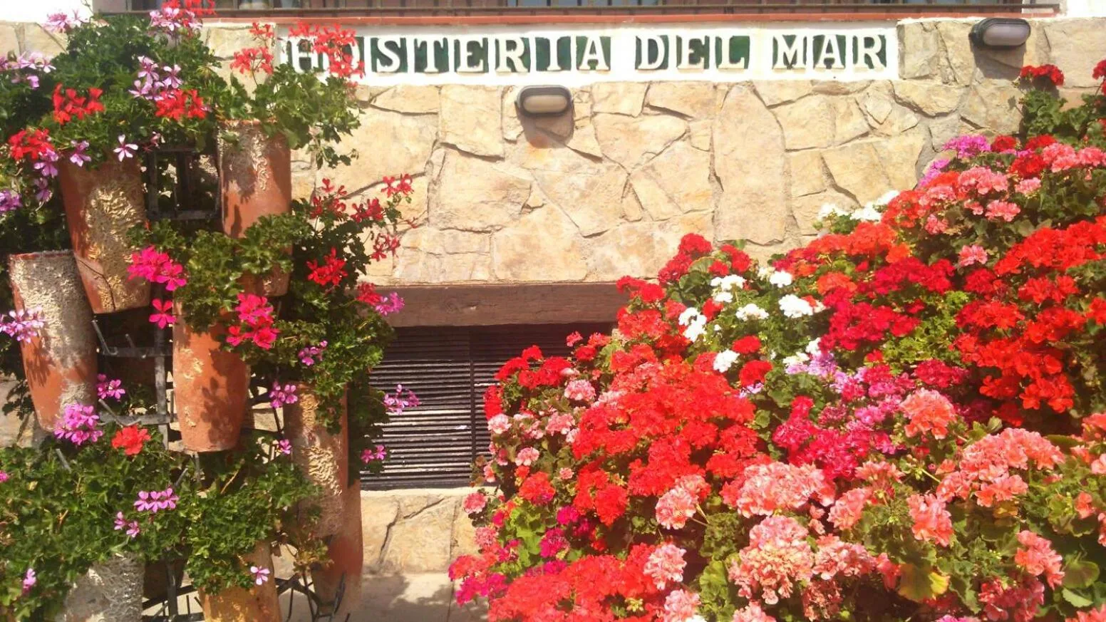 Spring in Hostería del Mar