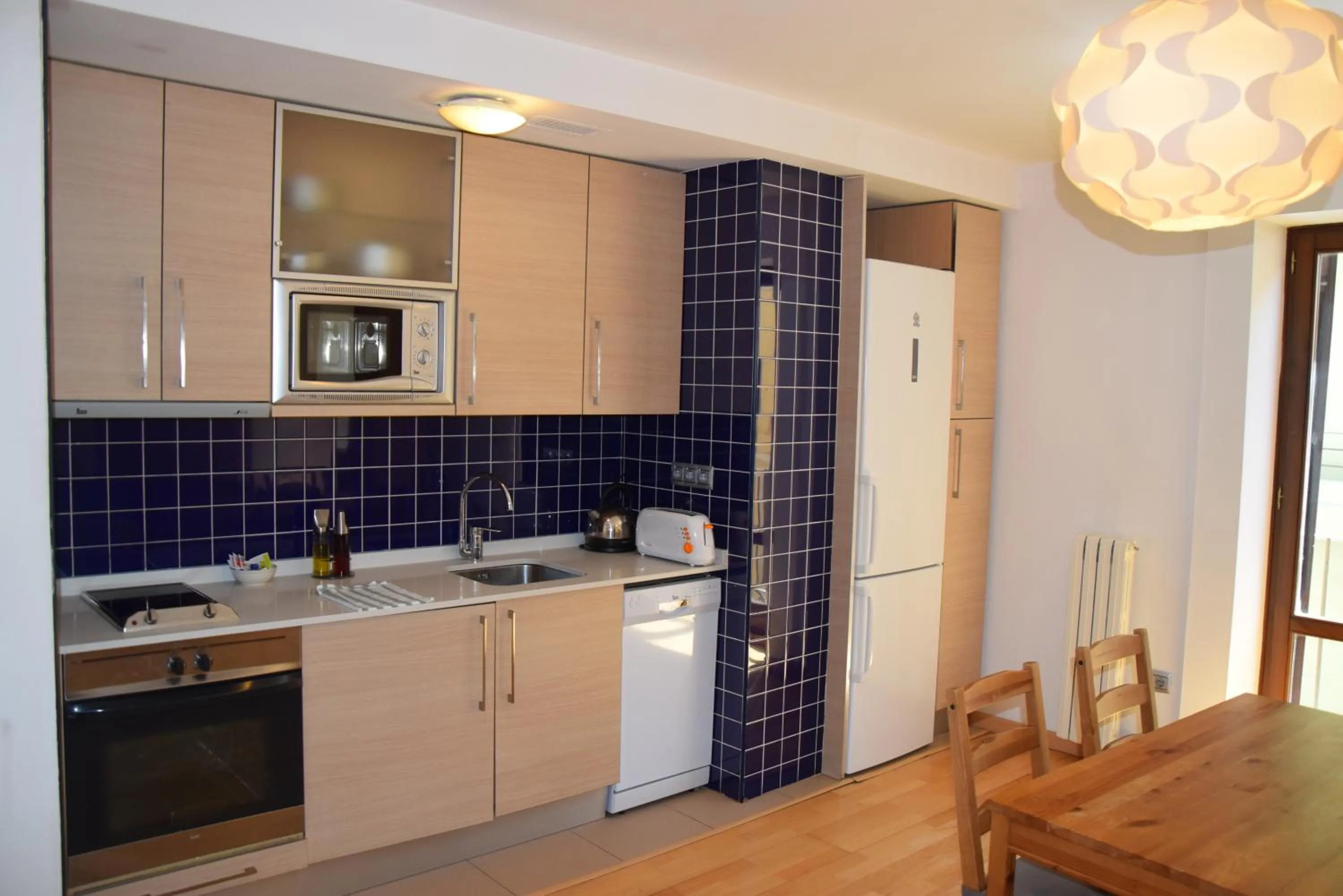 dishwasher in Apartamentos Zaragoza Coso