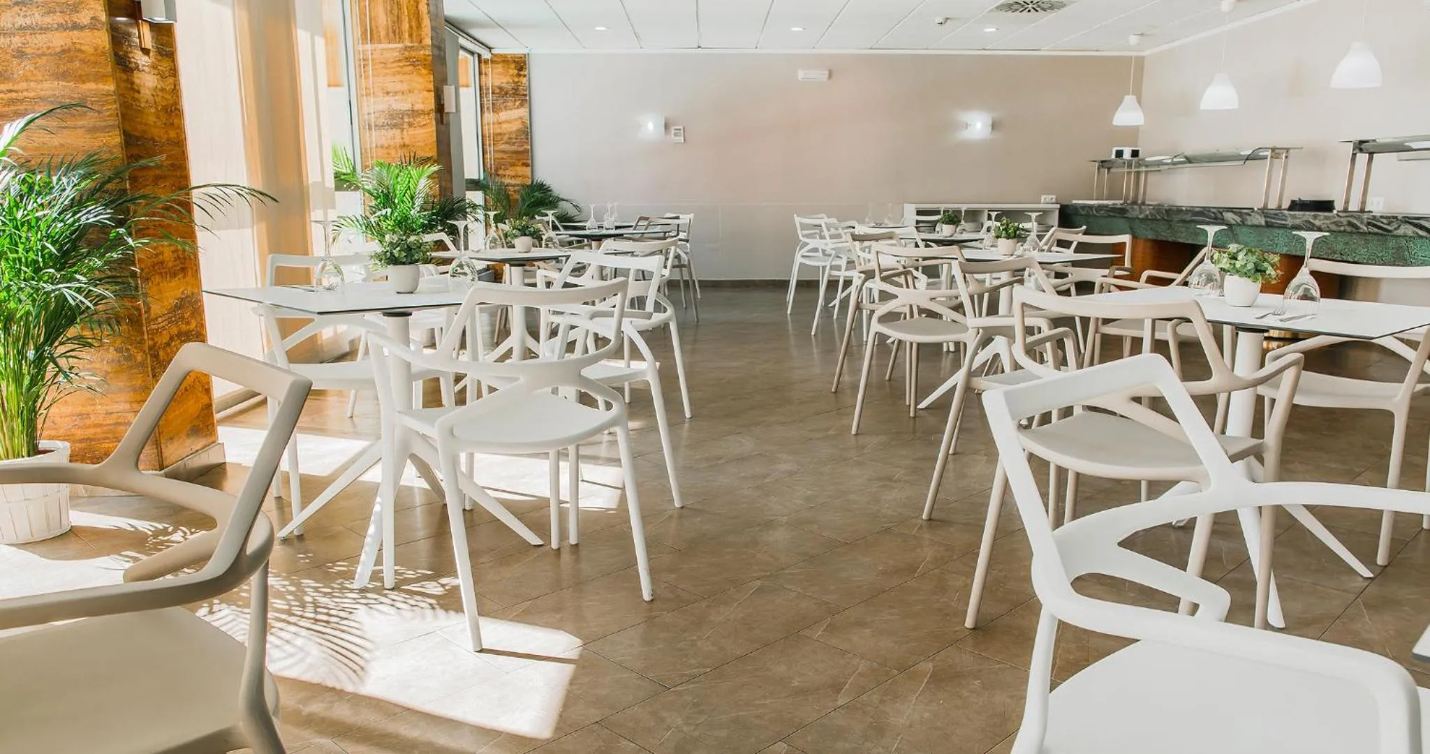 Restaurant/places to eat in Hotel Safari