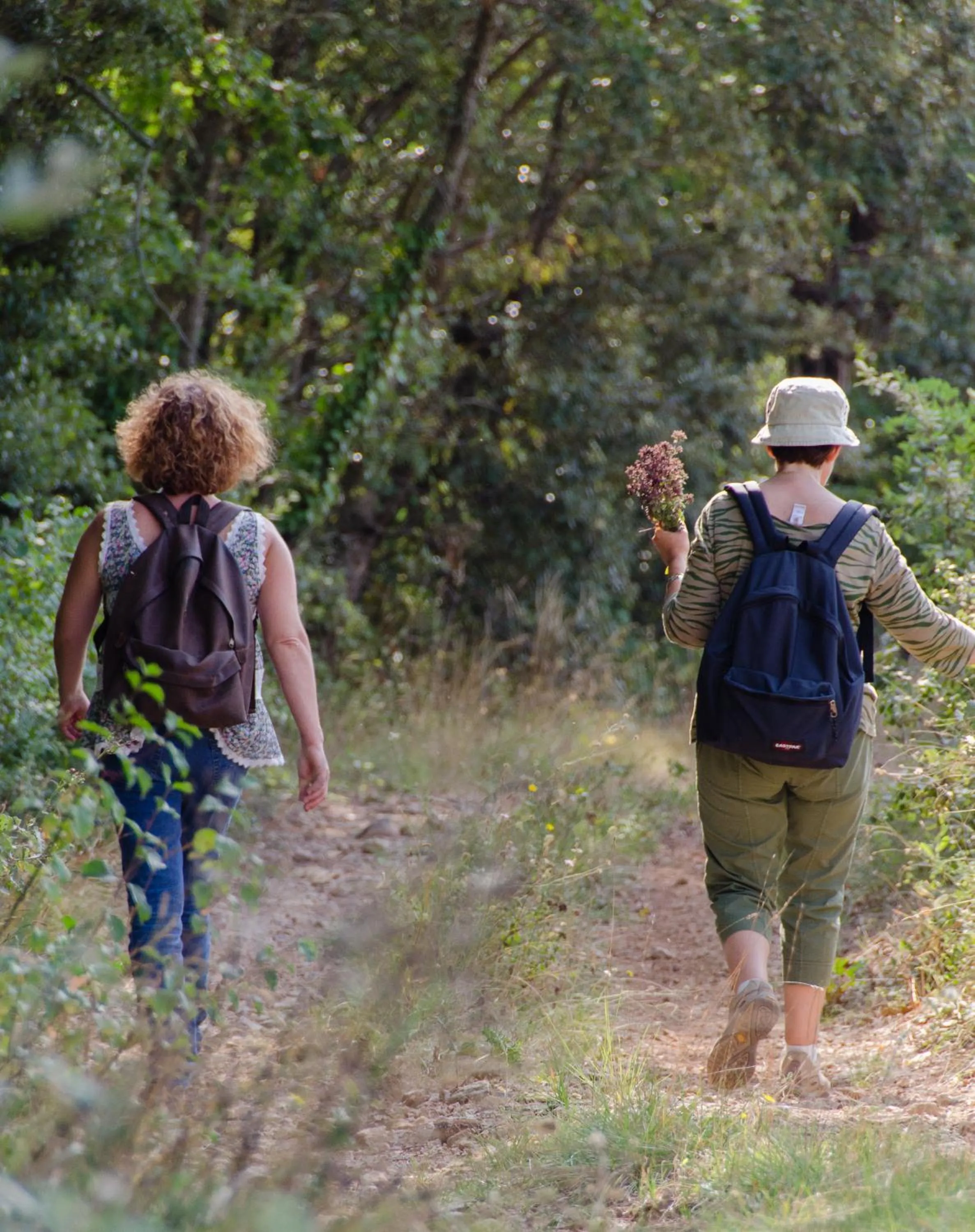 Hiking in La Maison de Campagne